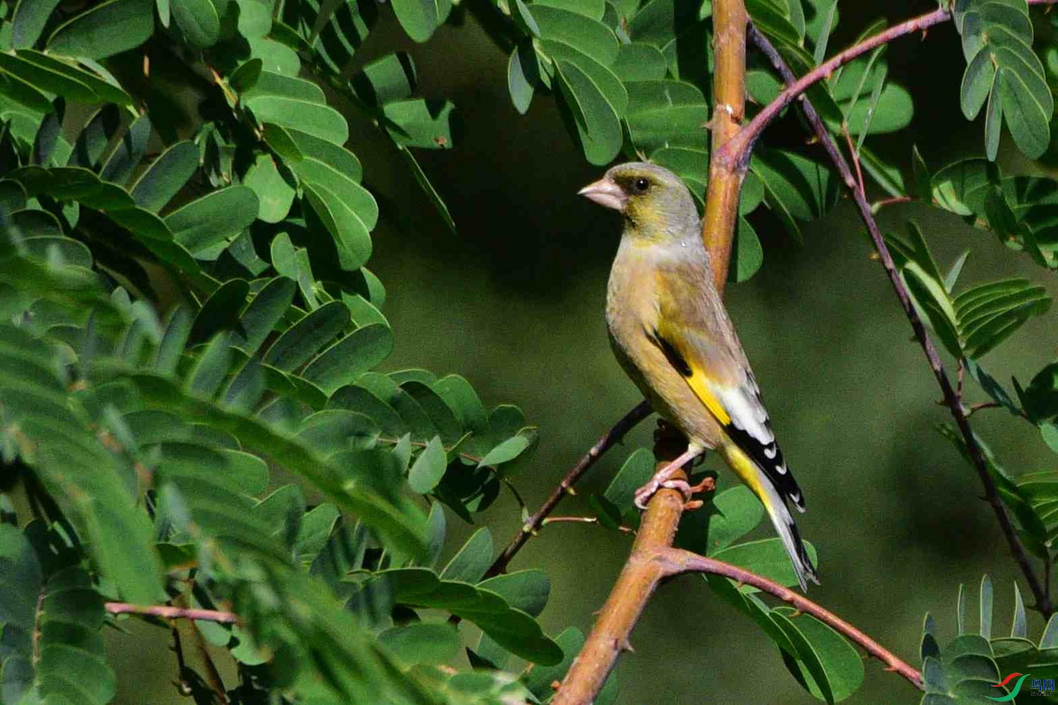 DSC_8801.JPG