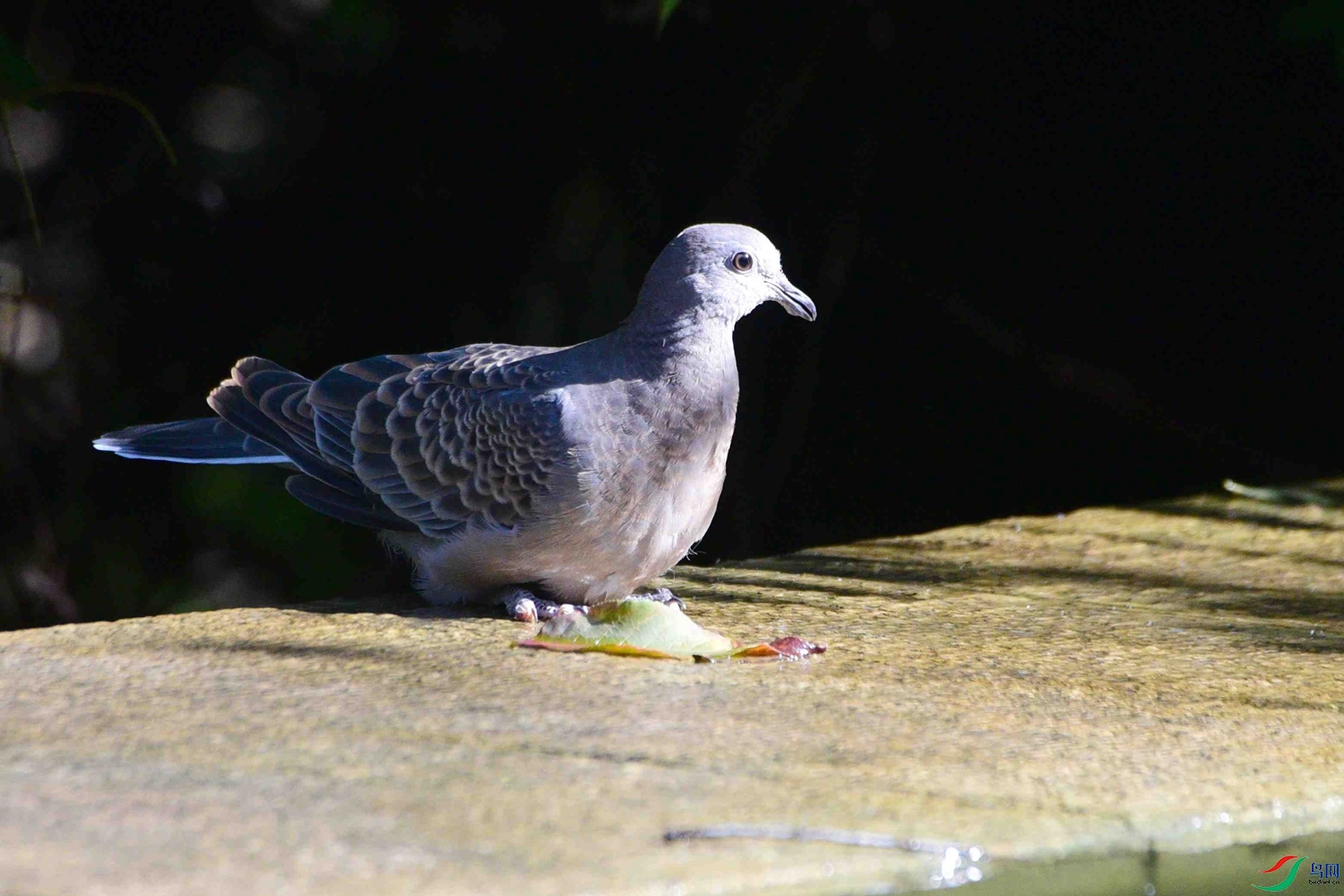 DSC_8874.JPG