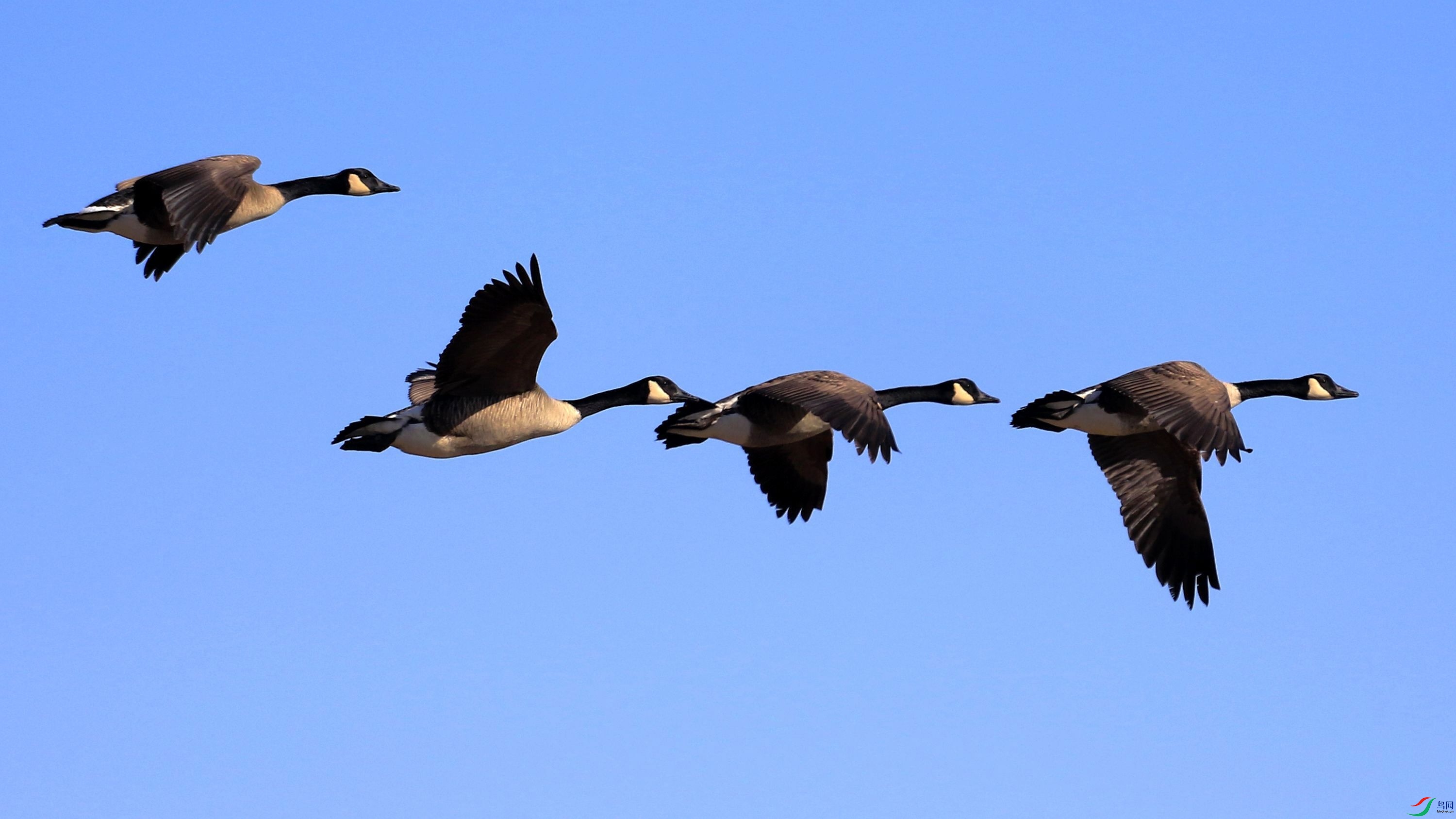 ���ô��� 08.jpg