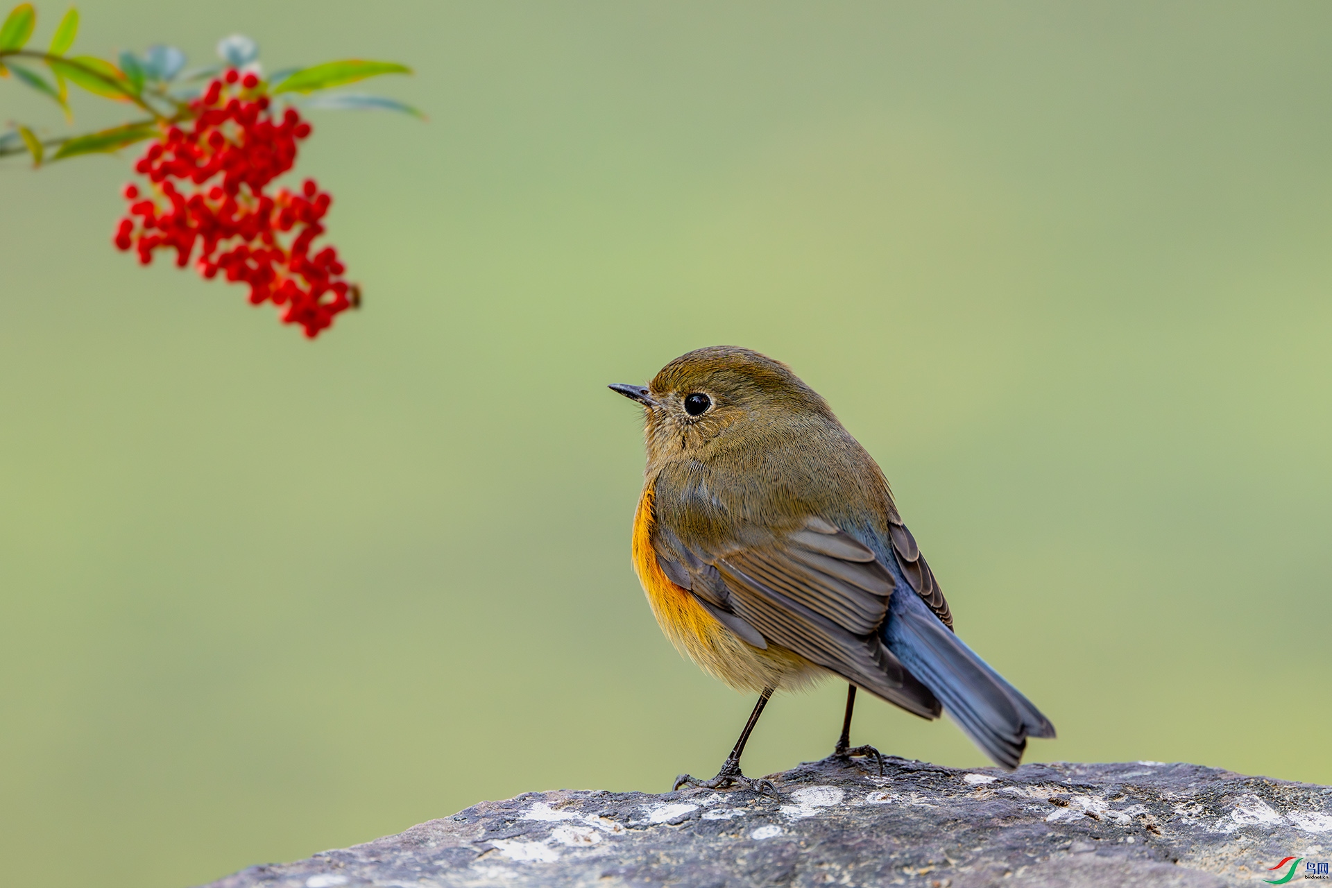 _DSC1086-����ǿ-NR ����С.jpg