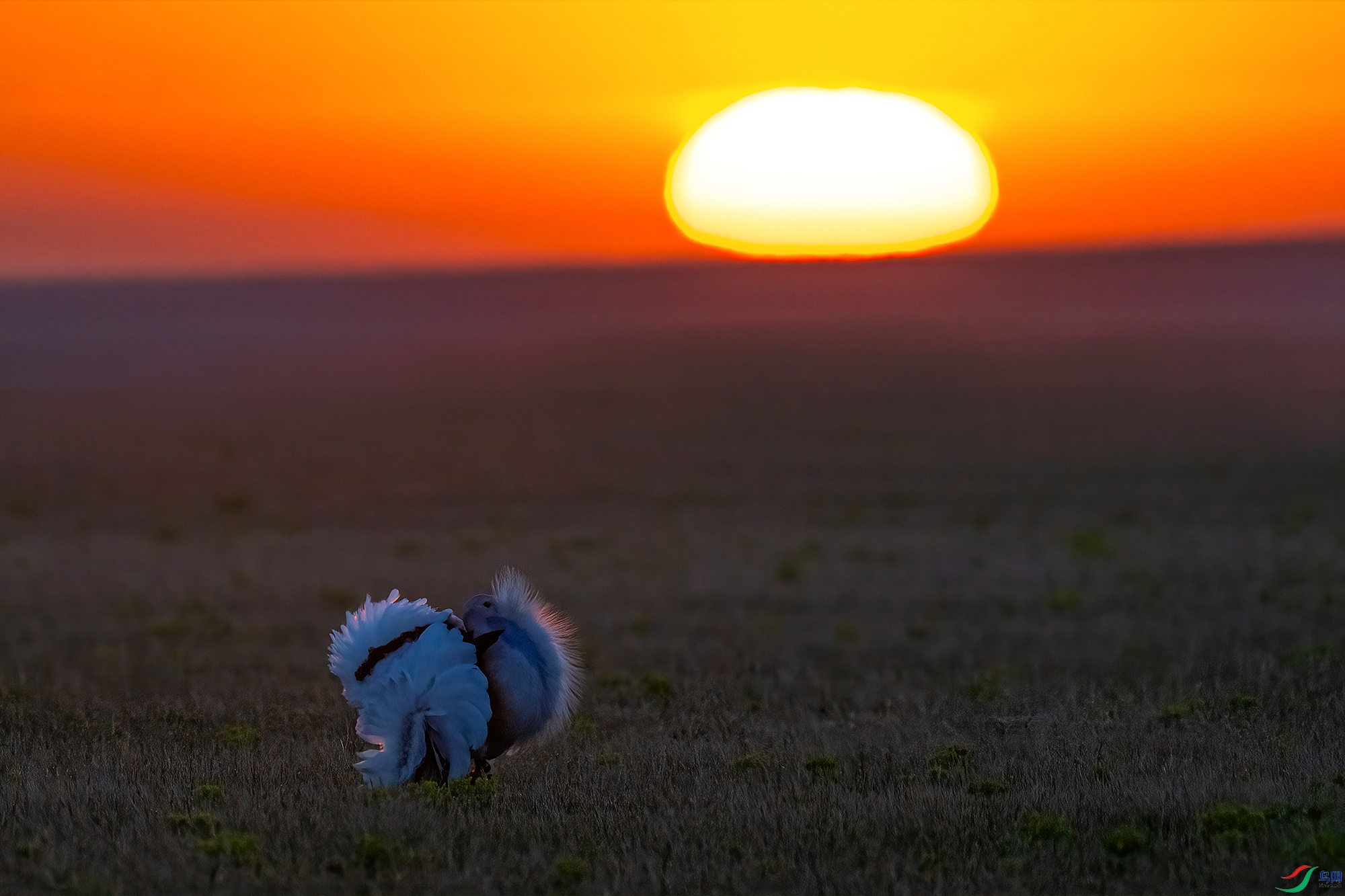 DSC_5744 V.jpg