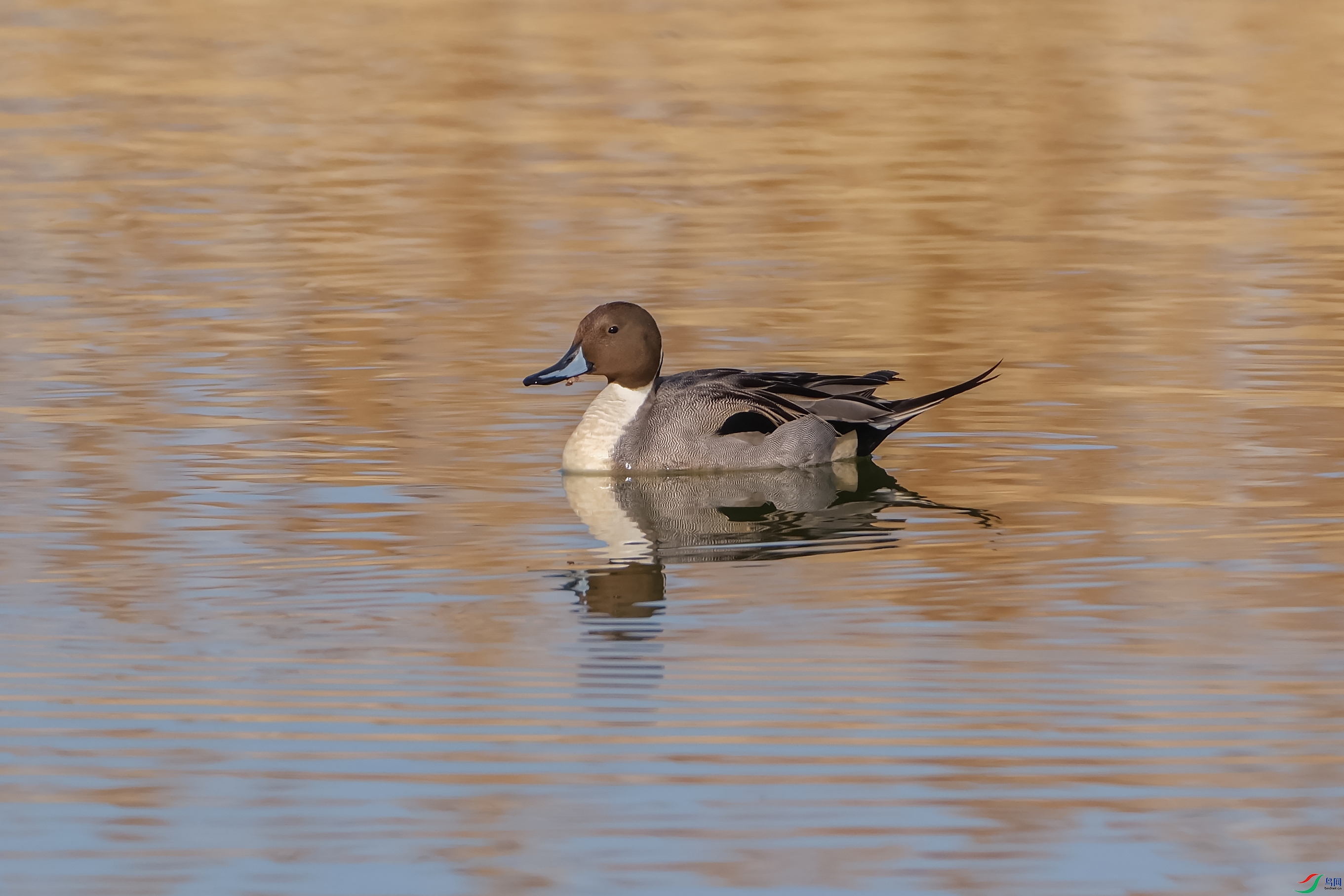 DSCF2868 ����.jpg