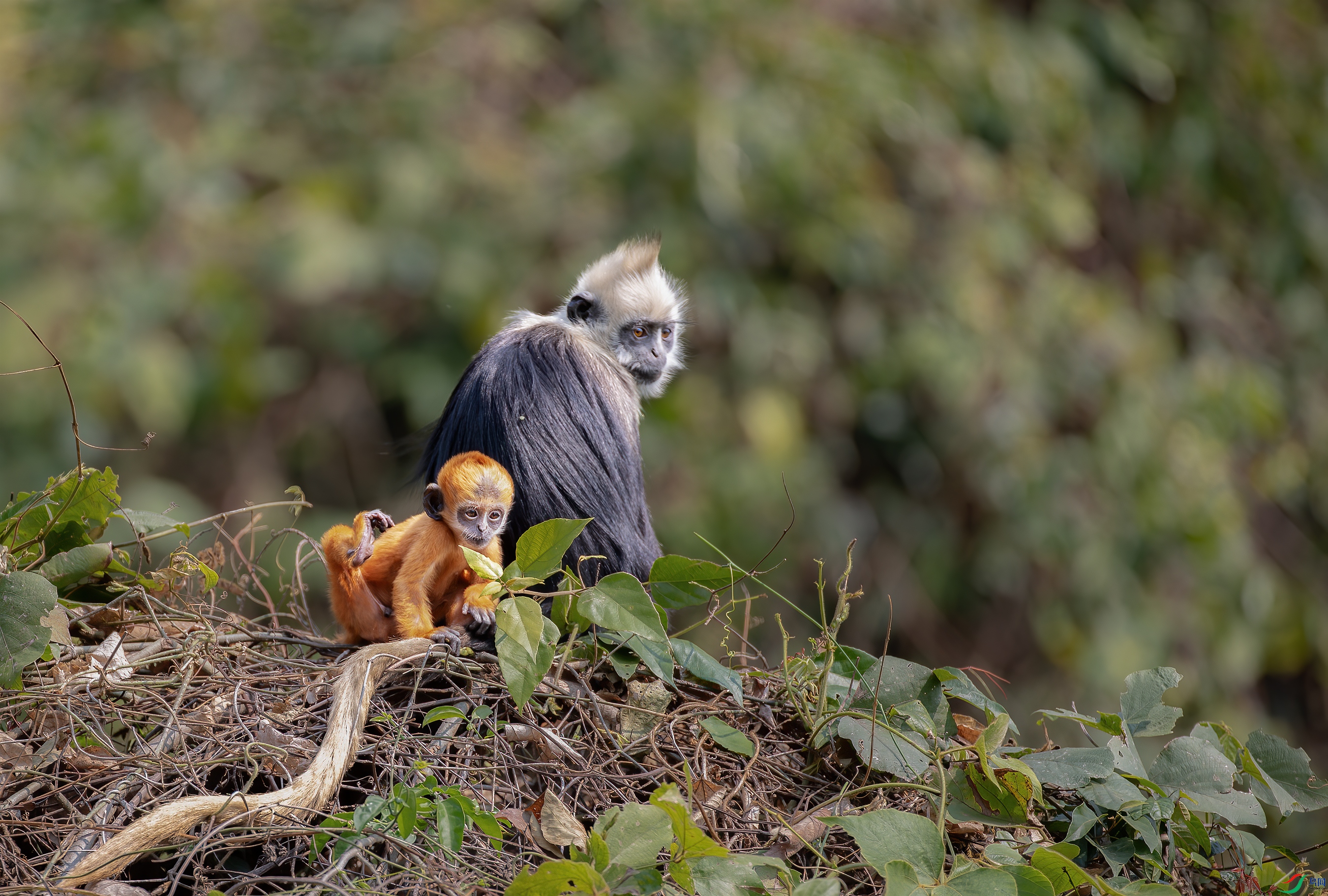 AY8I0098-����ǿ-NR ����.jpg