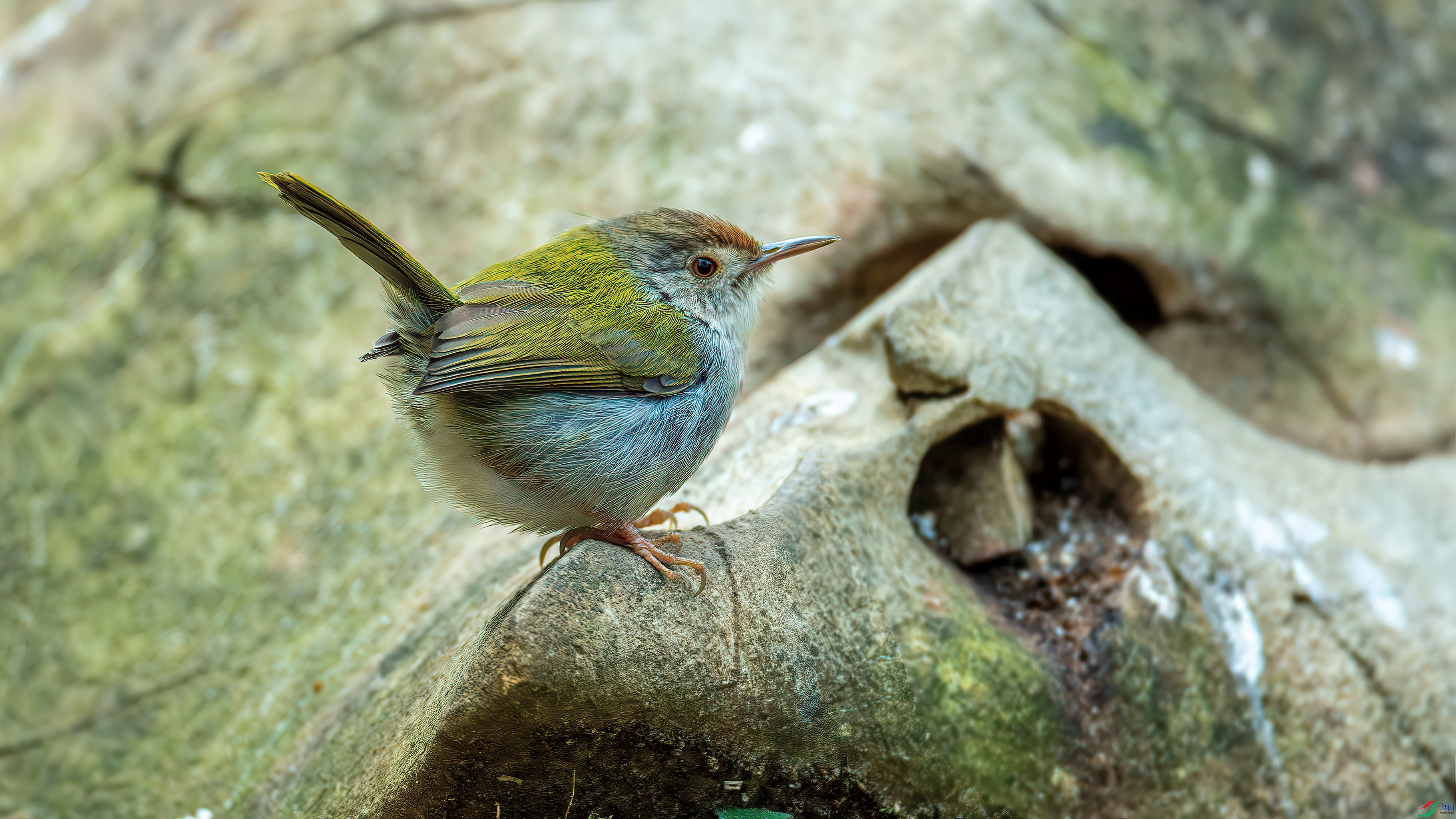 DSC_2748-����ǿ-NR.jpg