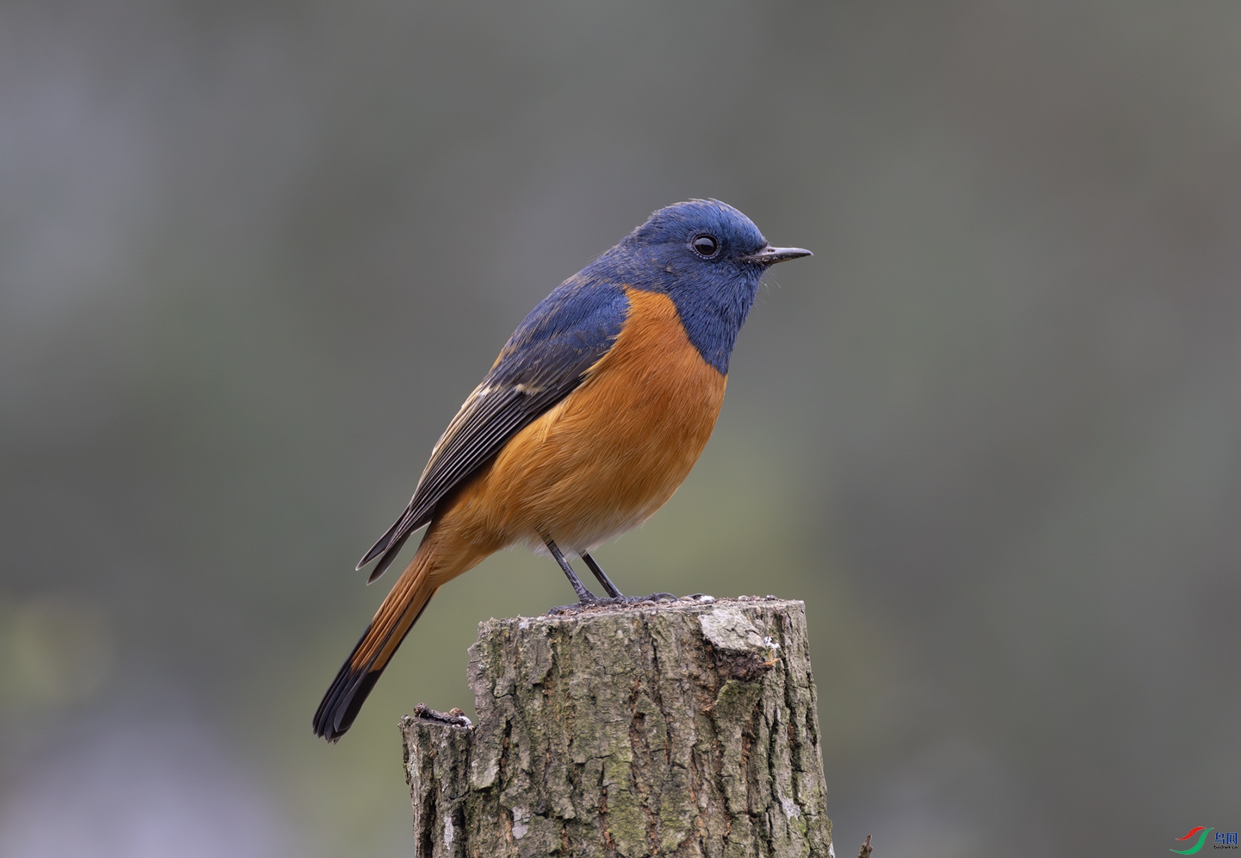 2I1A7890-����ǿ-NR ����.jpg