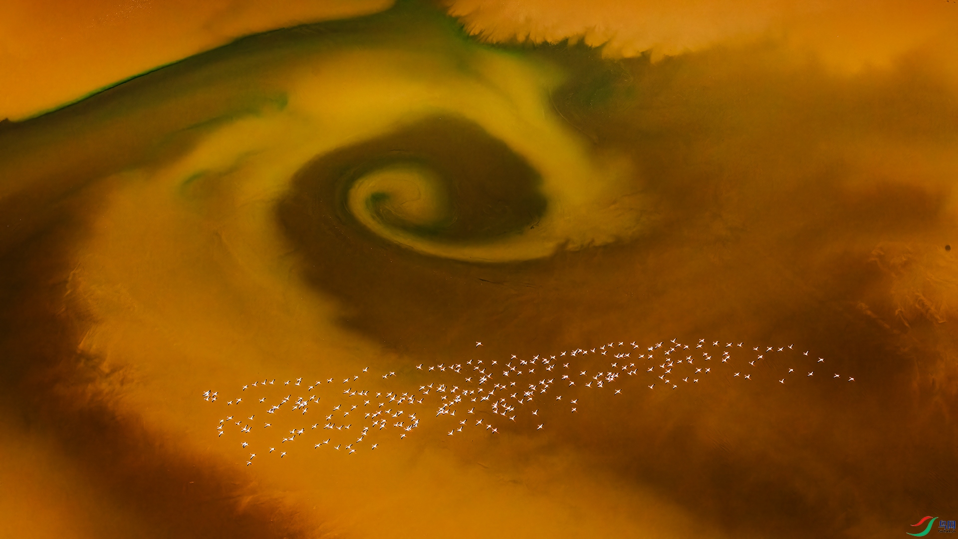 C7_The_Celestial_Gaze.jpg