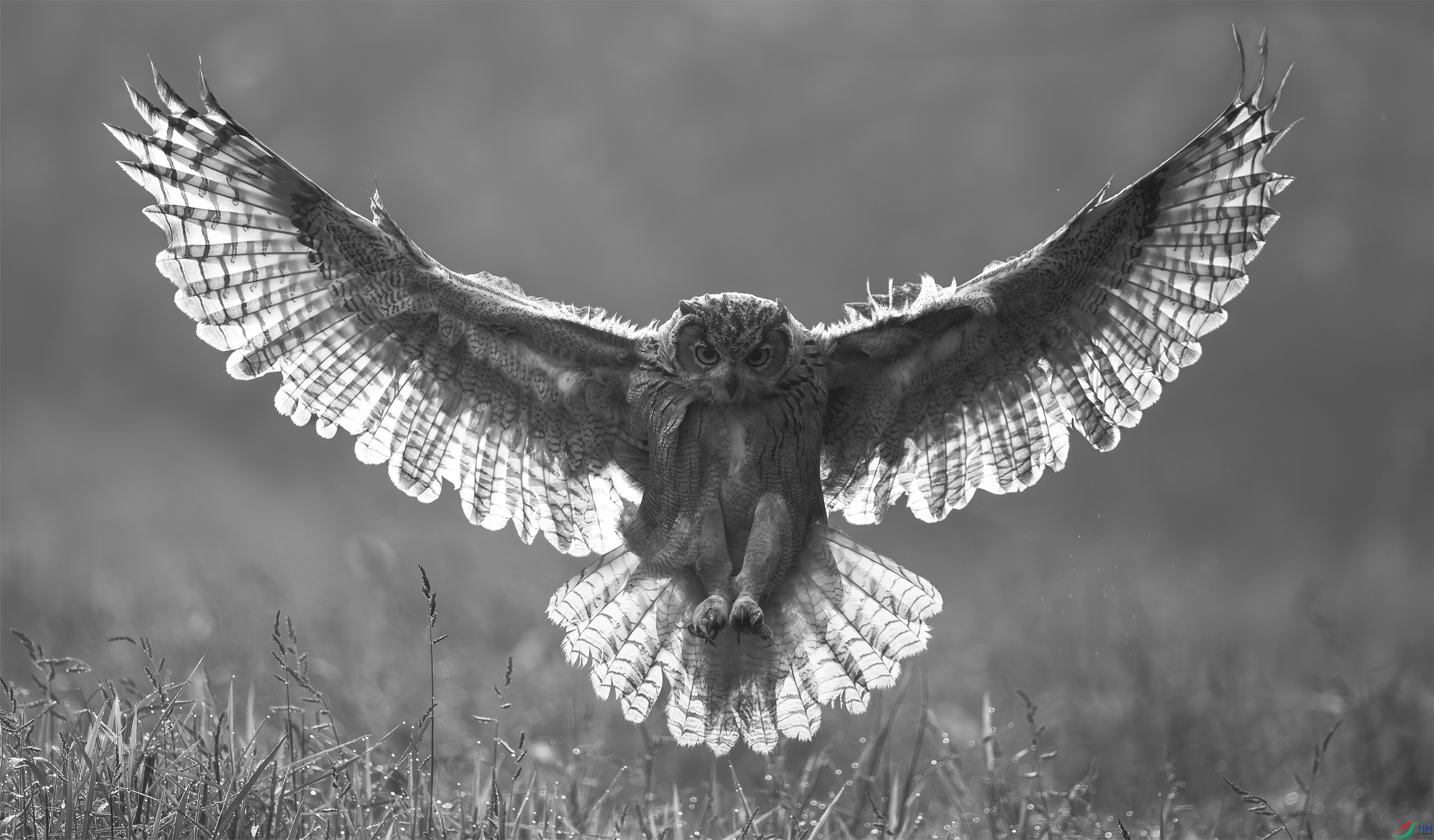 landing.jpg