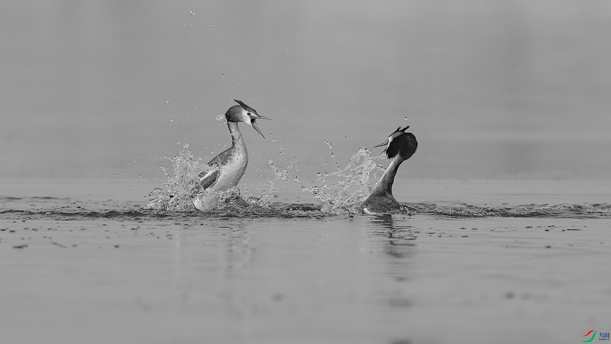 ABDSC06698 ����H.jpg