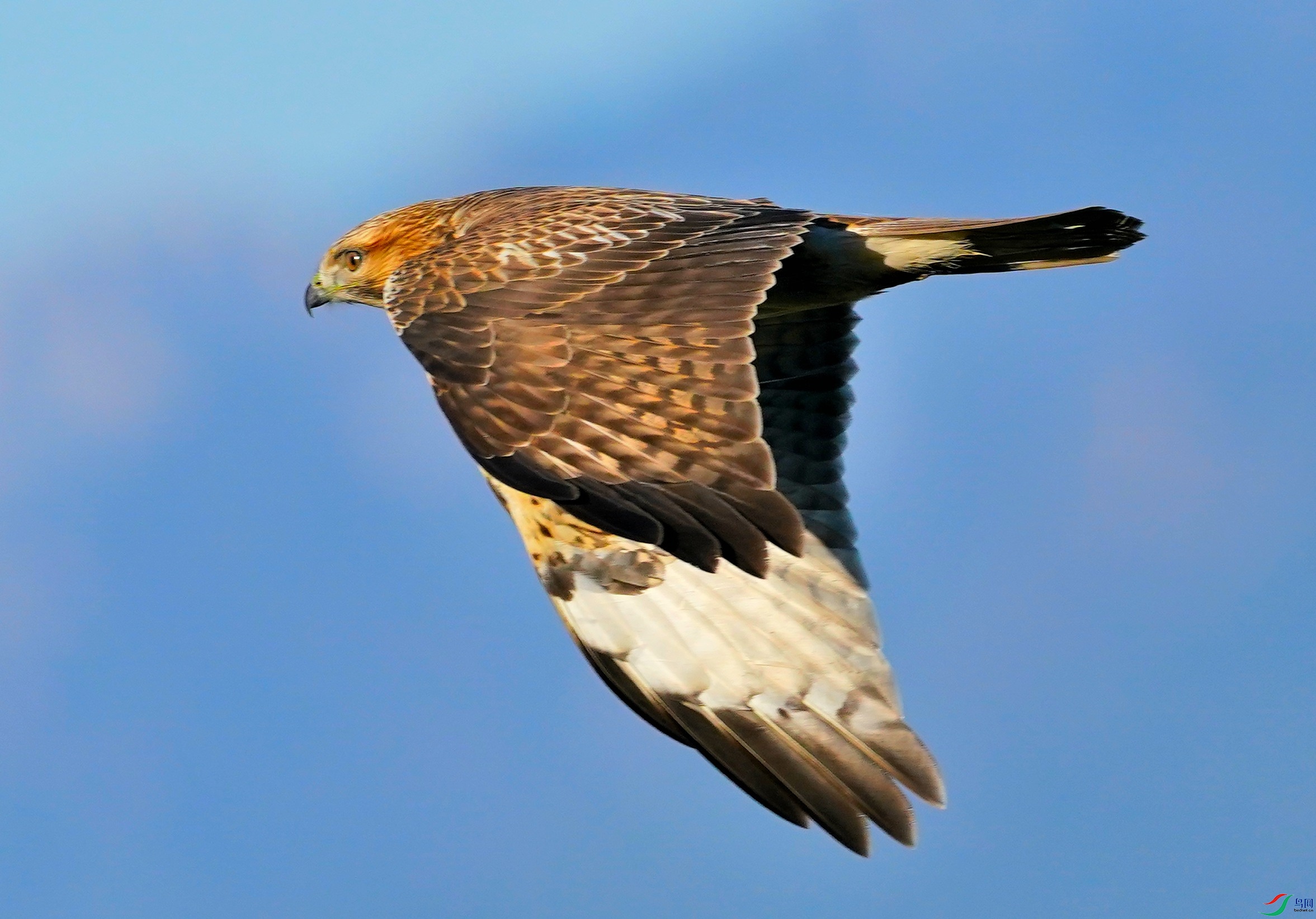 DSC04805-2022-10-17��ͨ