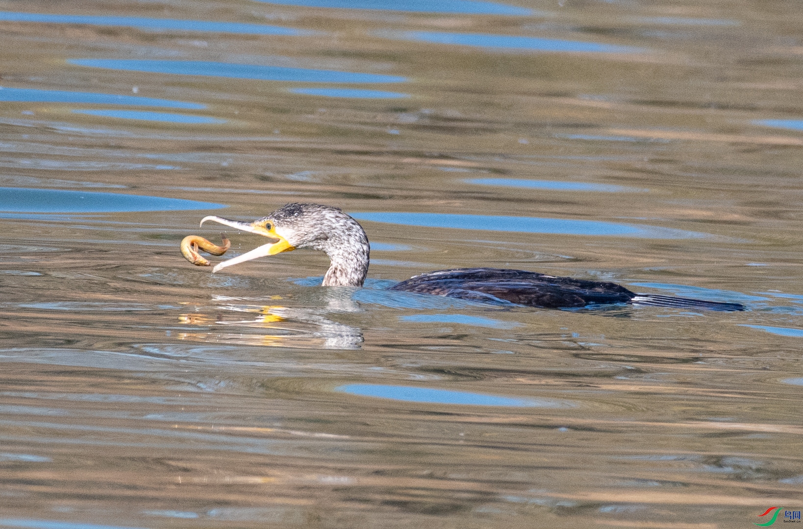 DSC_1874.jpg