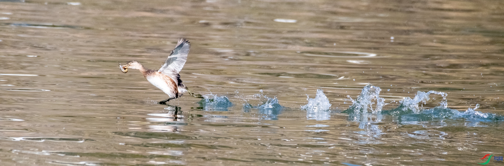 DSC_1627.jpg