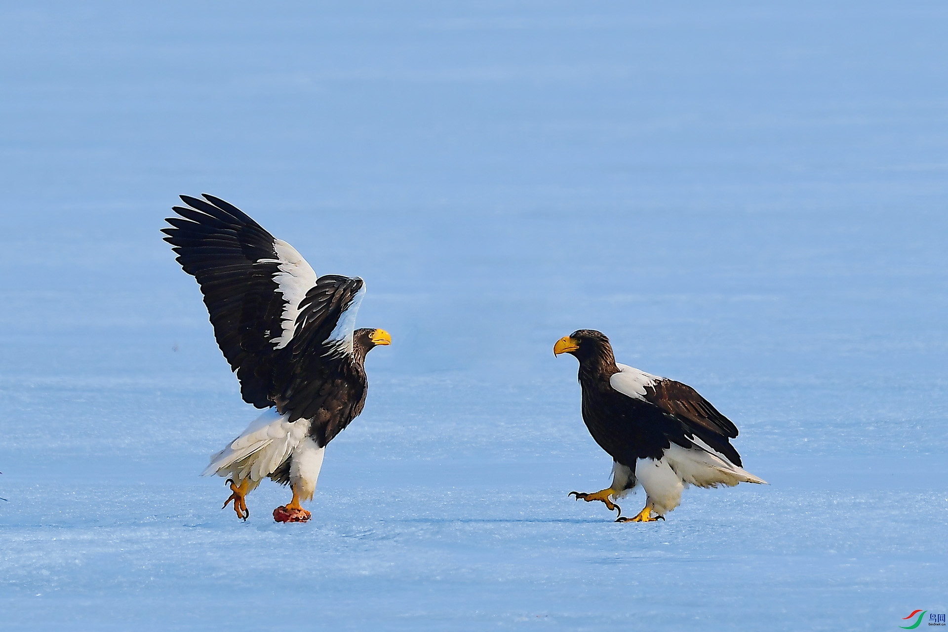 DSC_3901-1.jpg