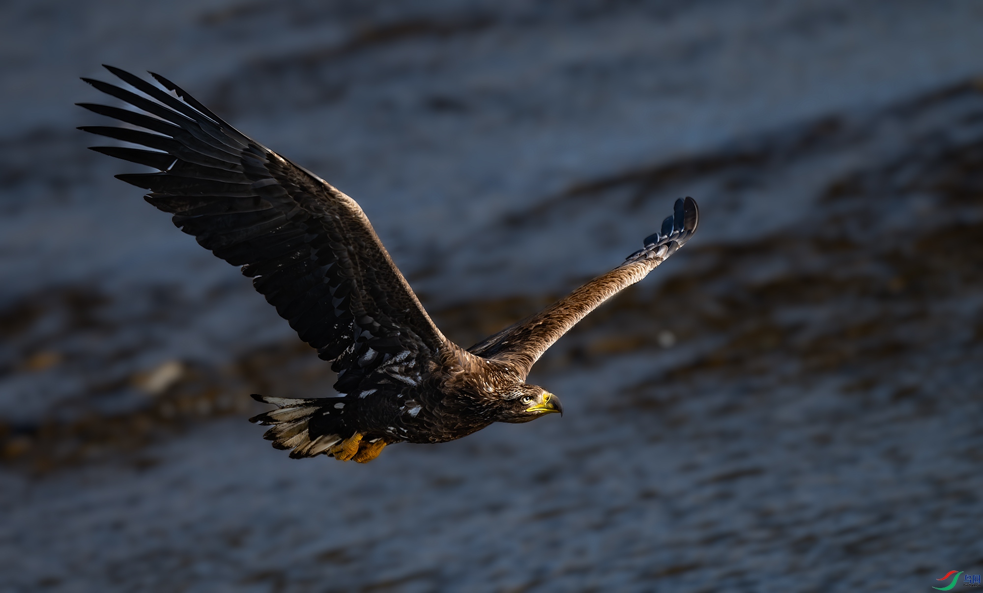 DSC_2071.jpg