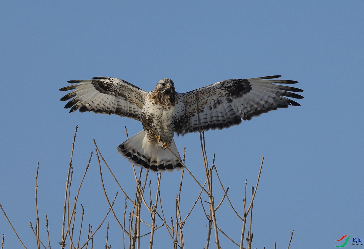 6X1A3009.jpgë����