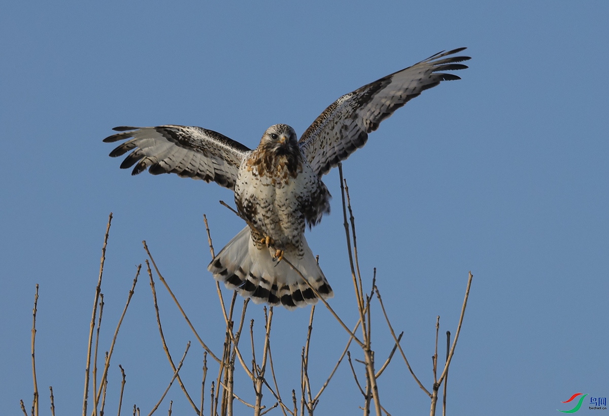 6X1A3015.jpgë��