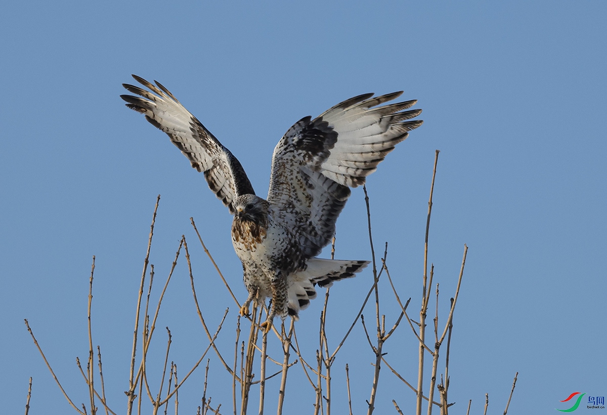 6X1A3056.jpgë��