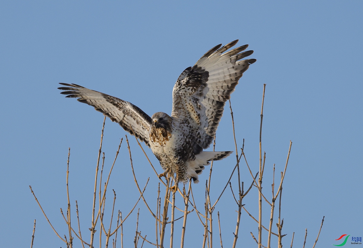 6X1A3068.jpgë��