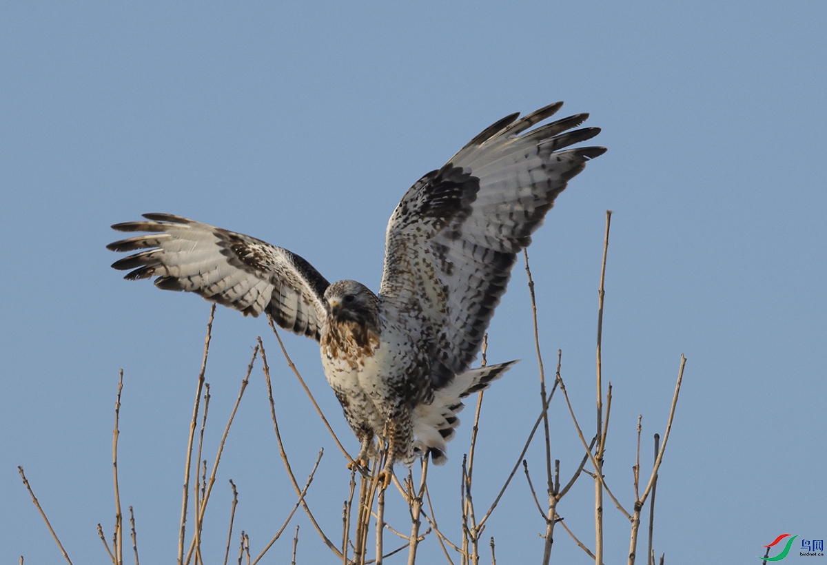 6X1A3072.jpgë��