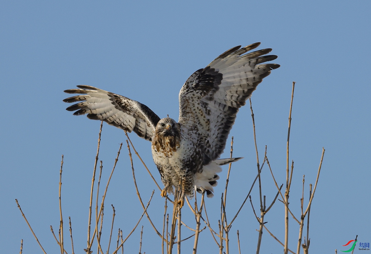 6X1A3078.jpgë��