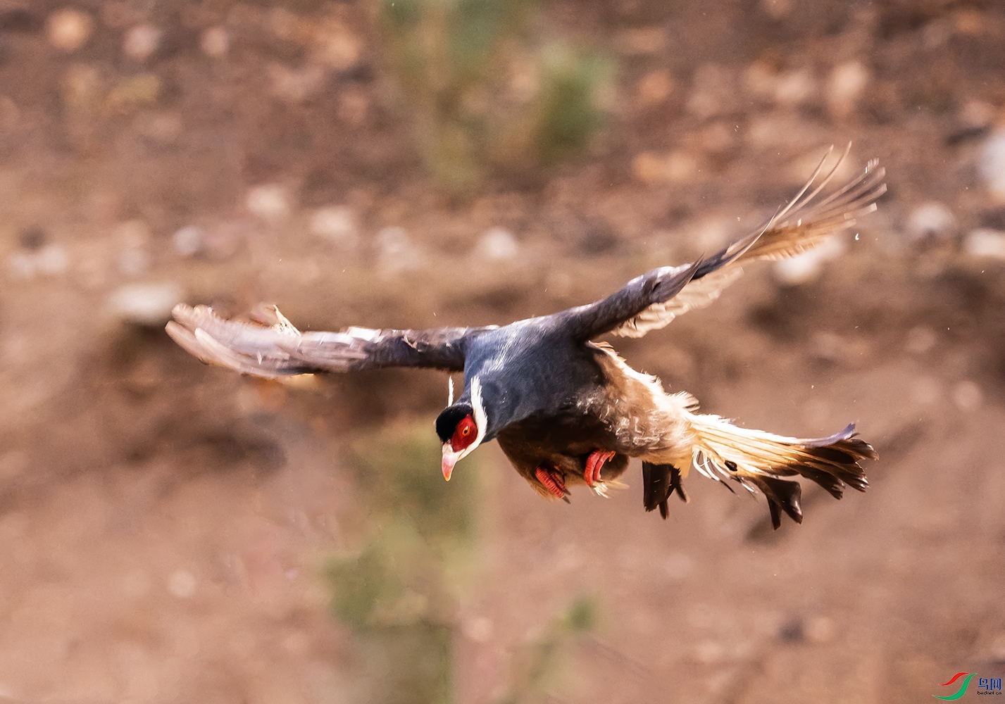 DSC_0236 ���� --1.jpg