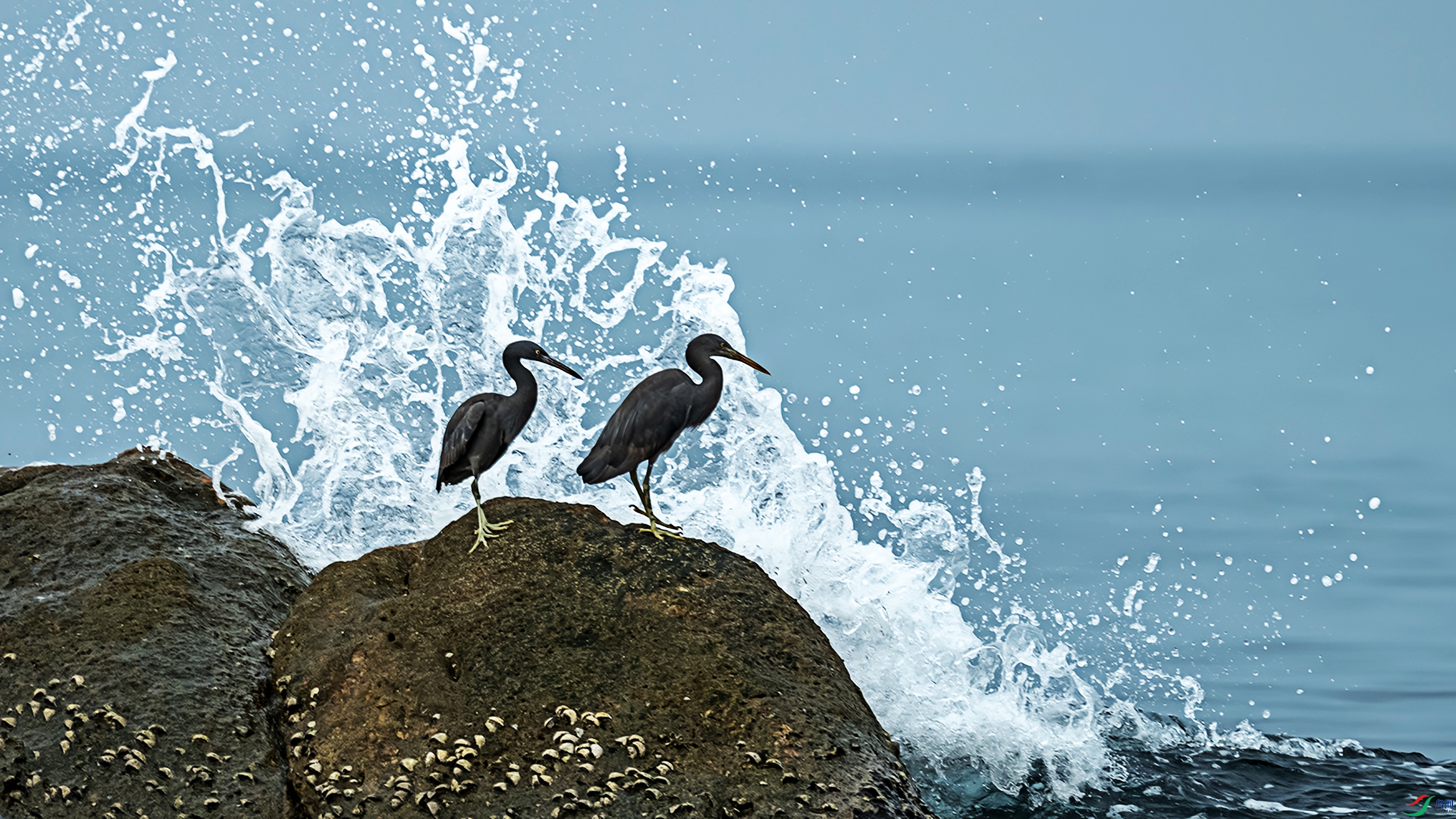 7681 ����.jpg