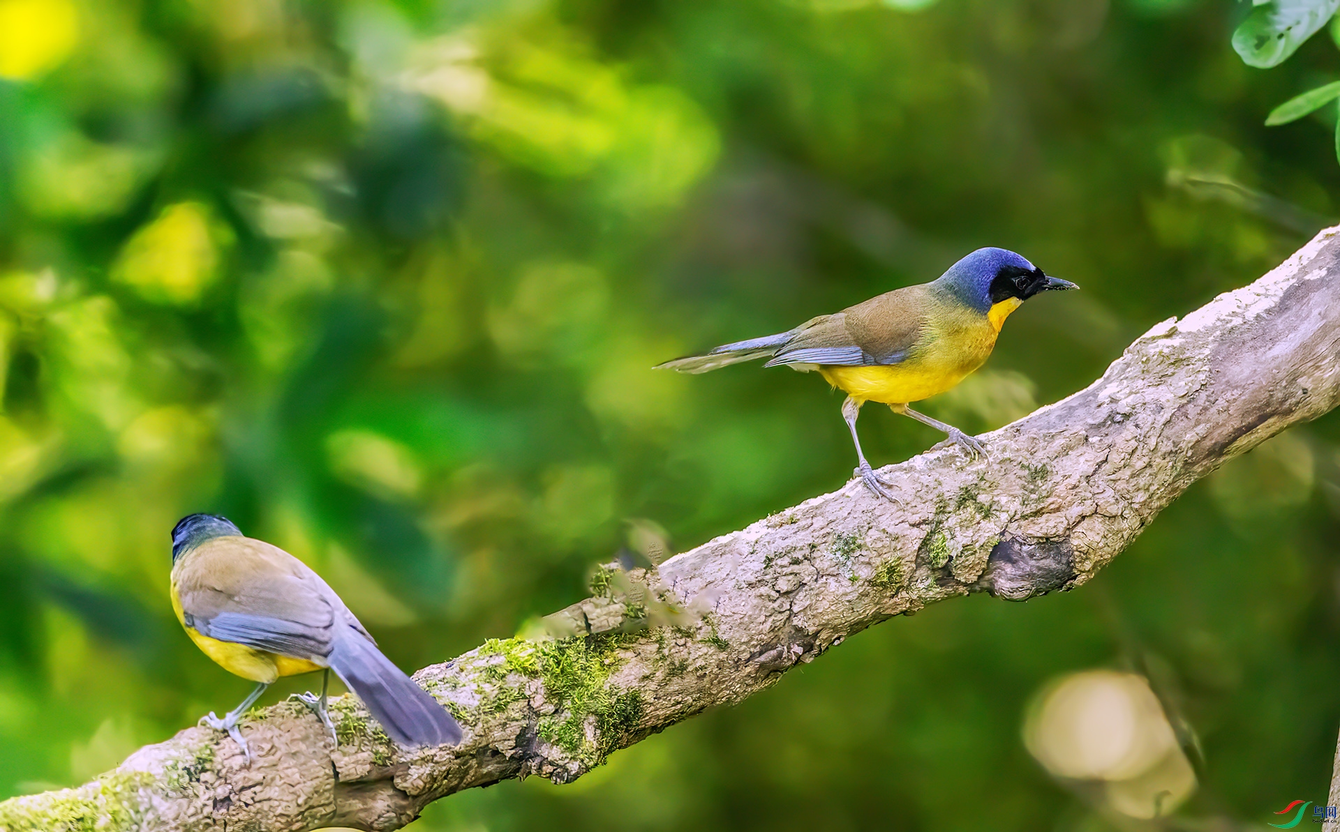 407A2646 ����-Sh---2 .jpg