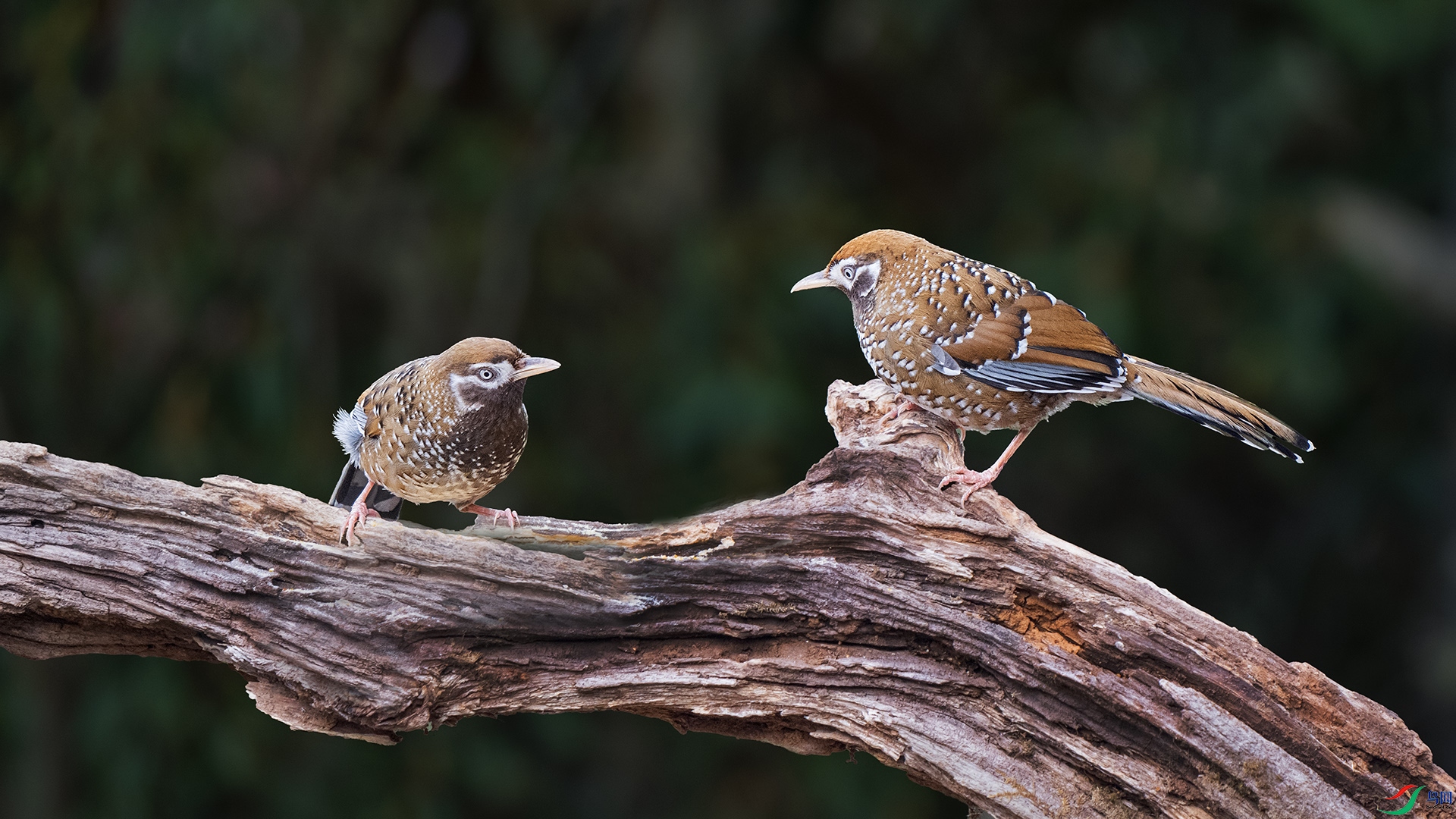 DSC_7443 ����.jpg