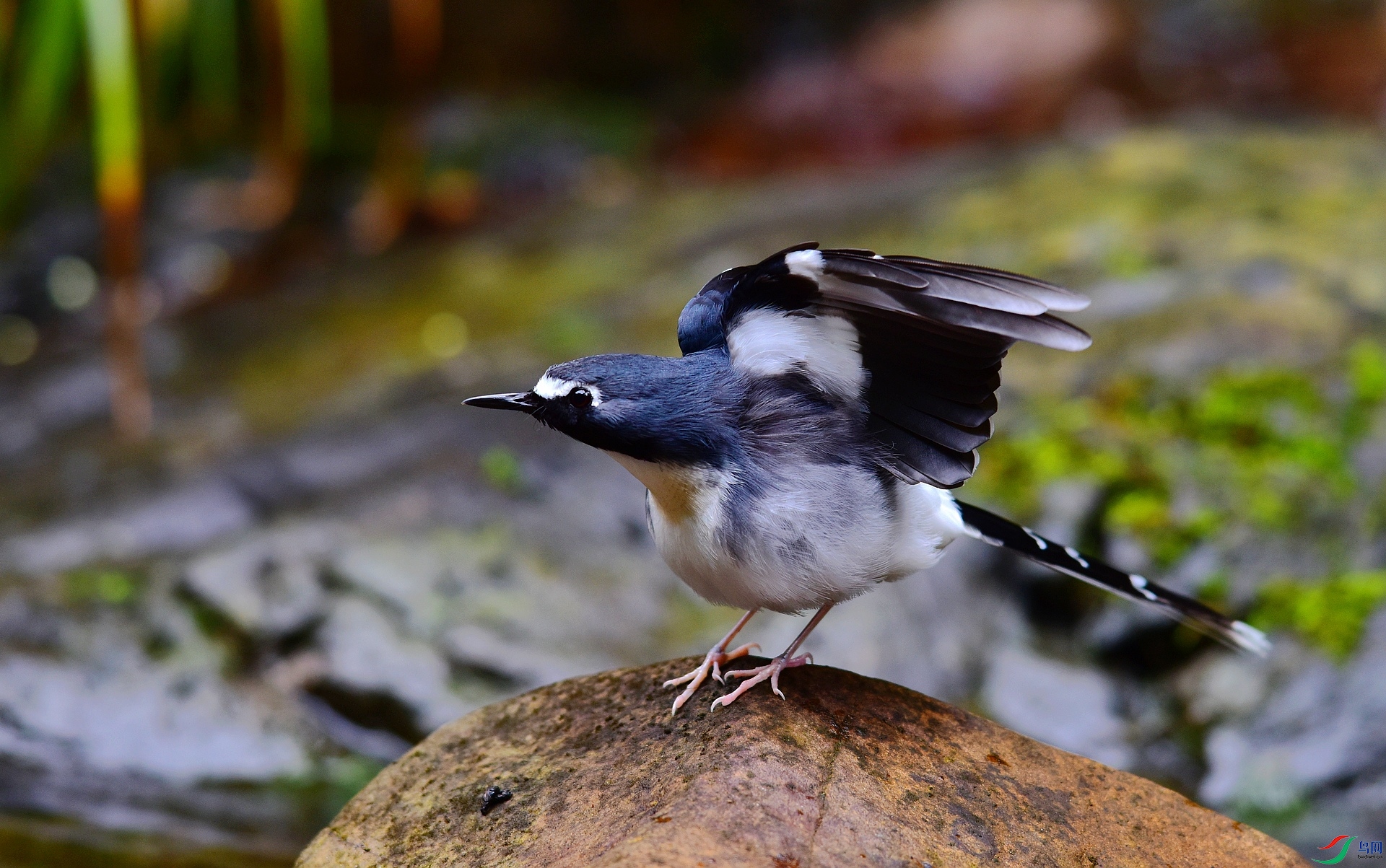 D8I_0810.jpg