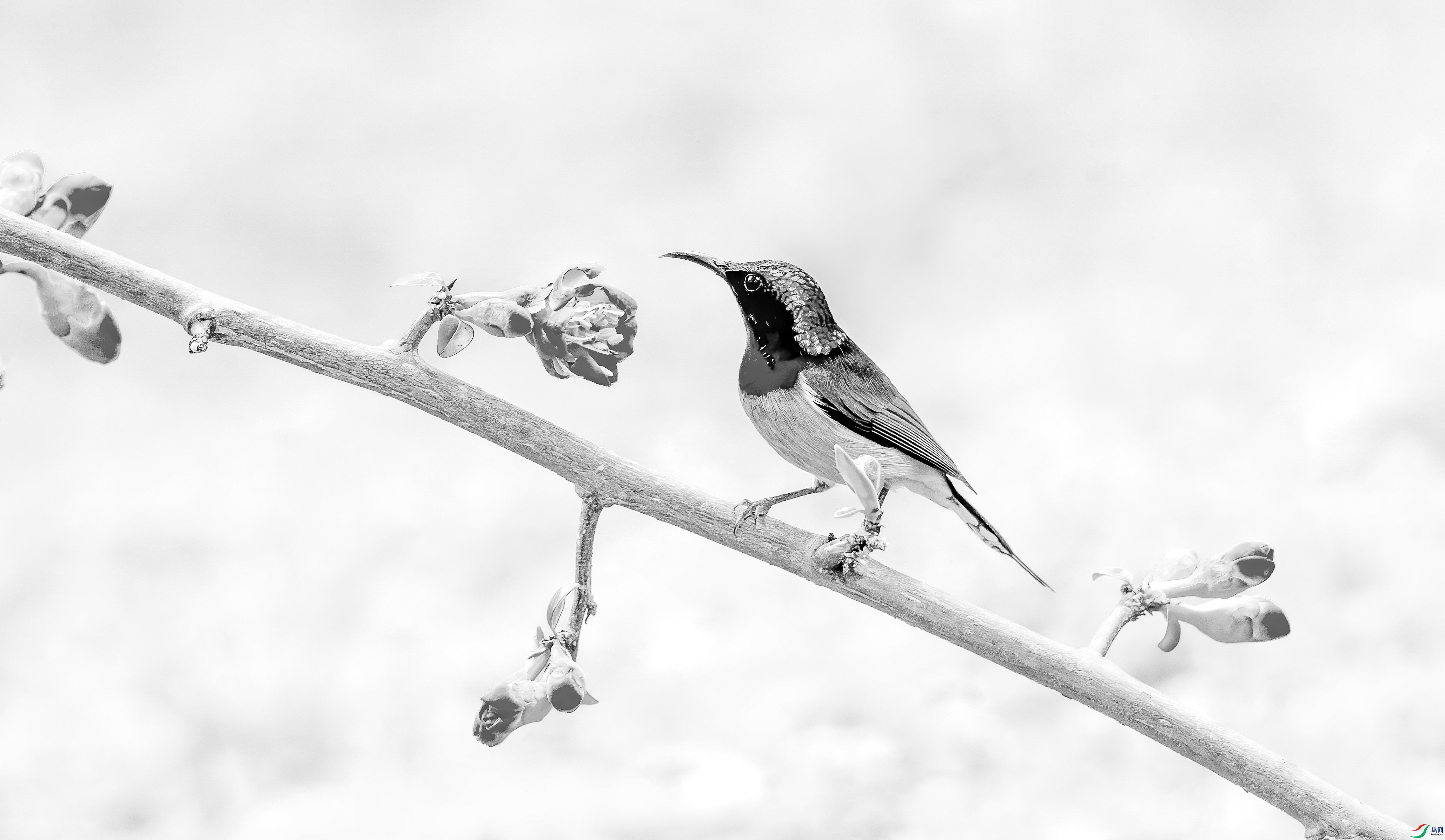 412A9562=R-1_����=00.jpg