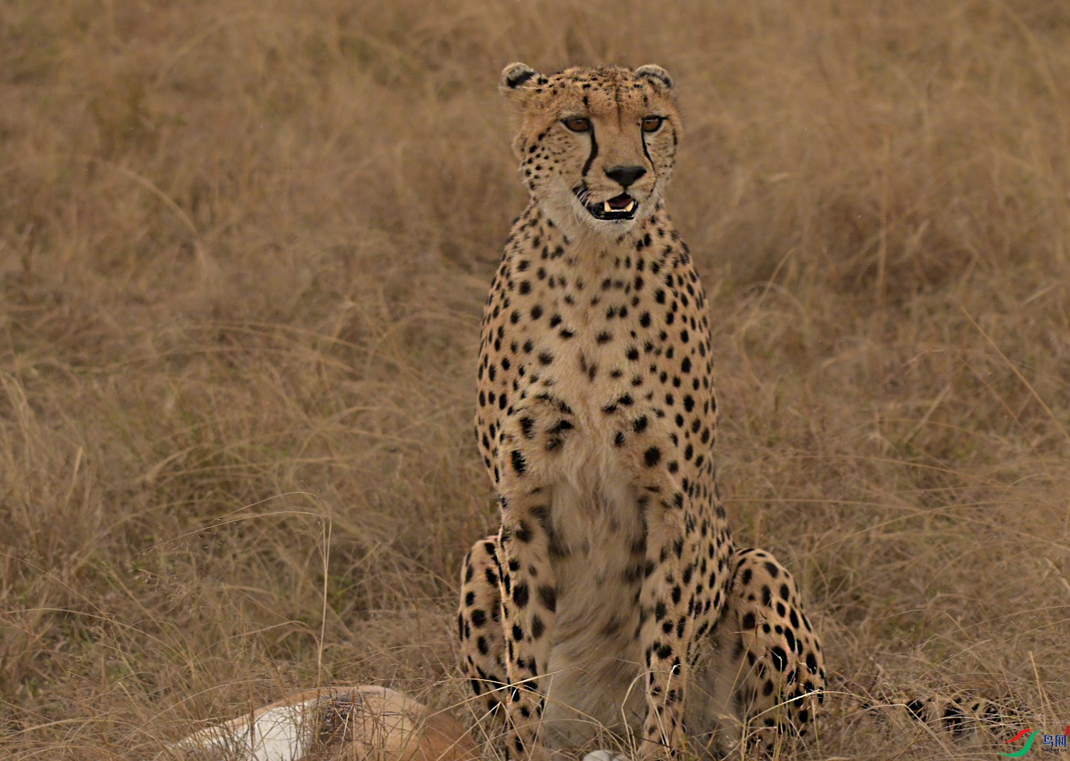 {966C7488-8AE9-40B7-B589-8CE600728398} ����.jpg