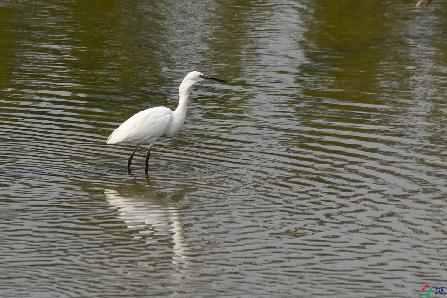 DSC_4041.JPG