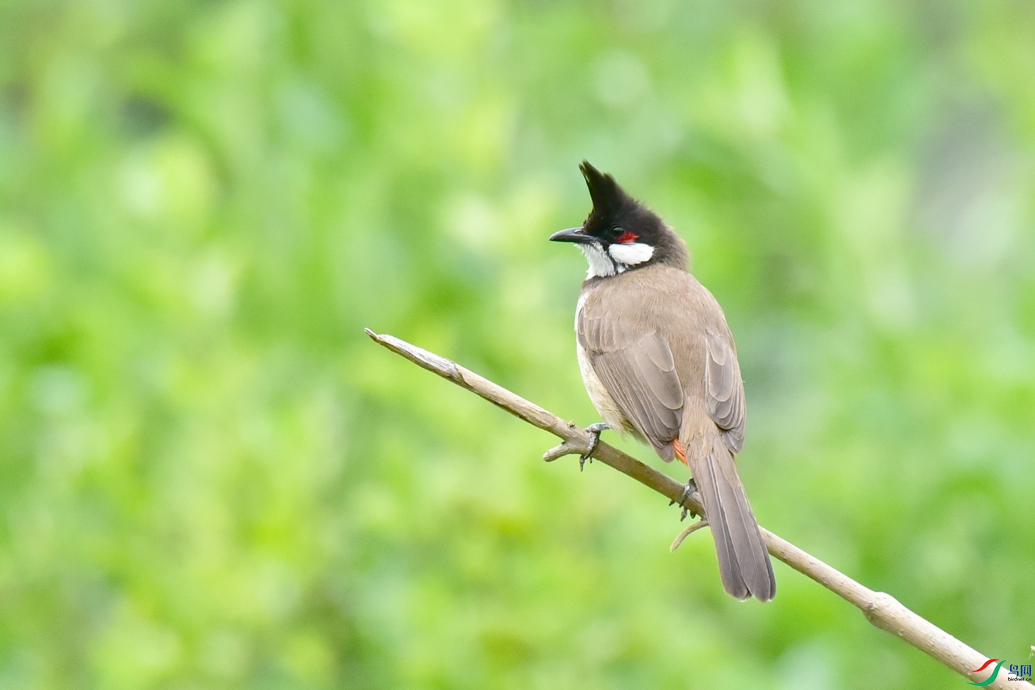 DSC_2731.JPG