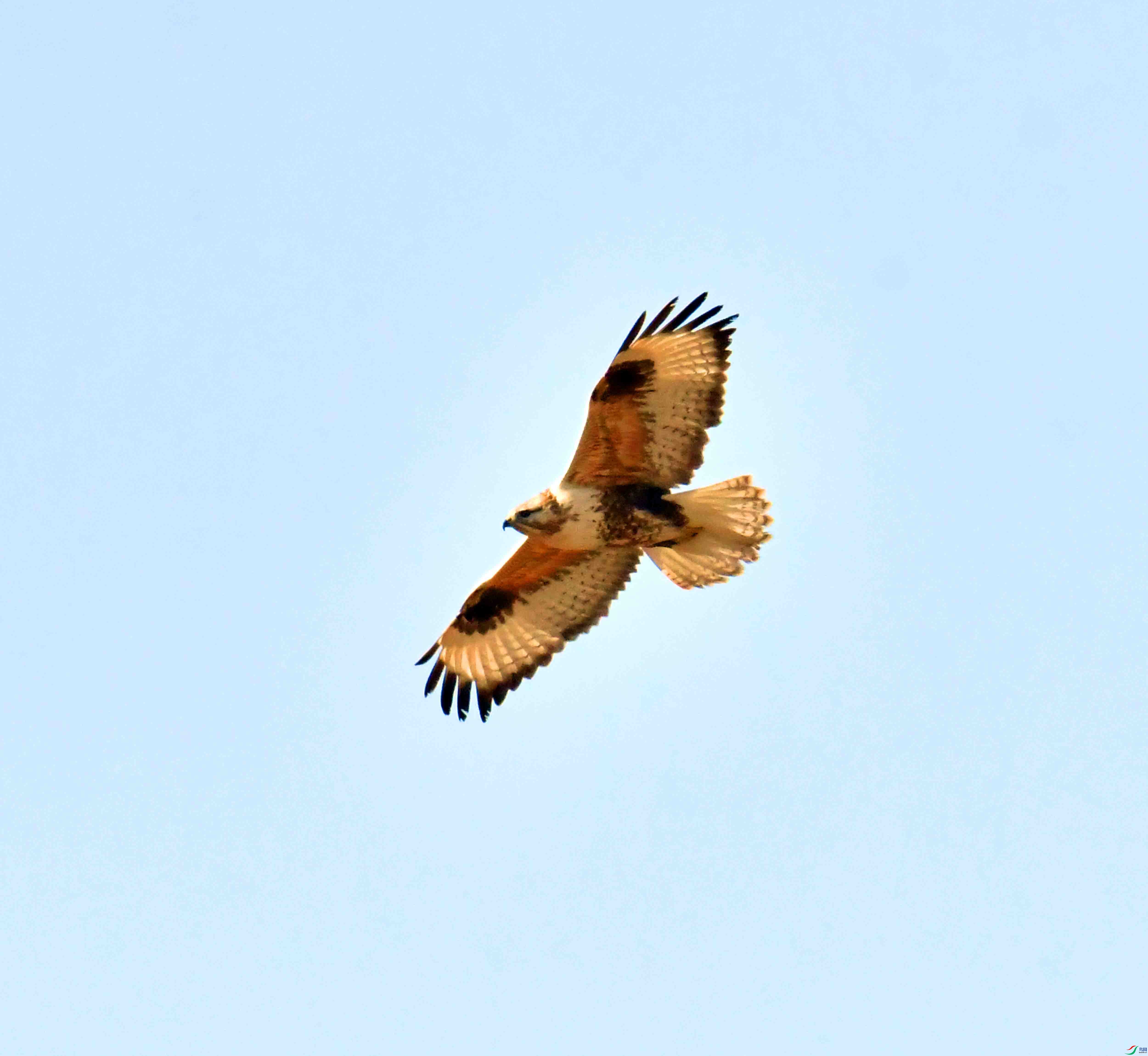 DSC_9490.JPG