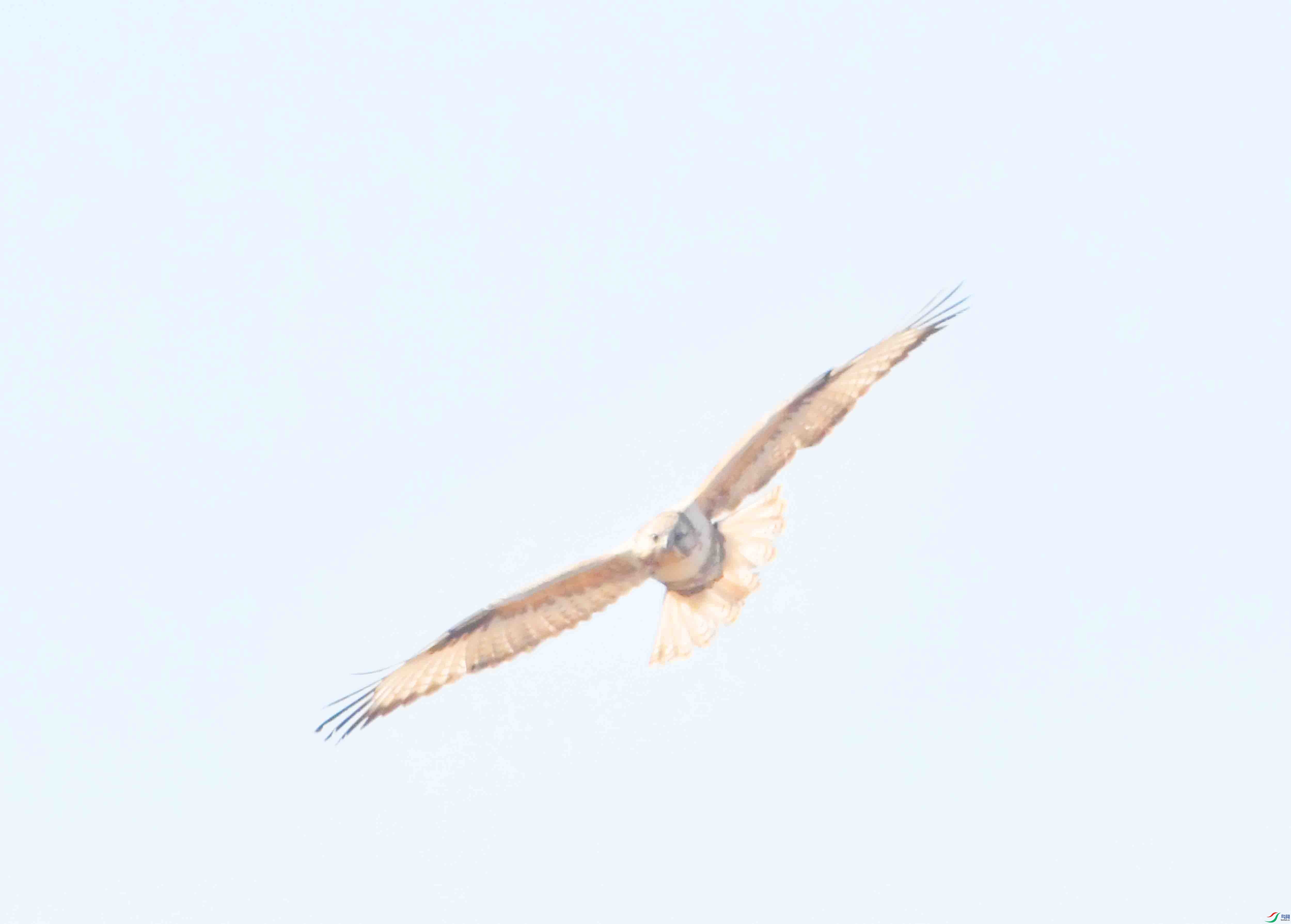 DSC_9365.JPG