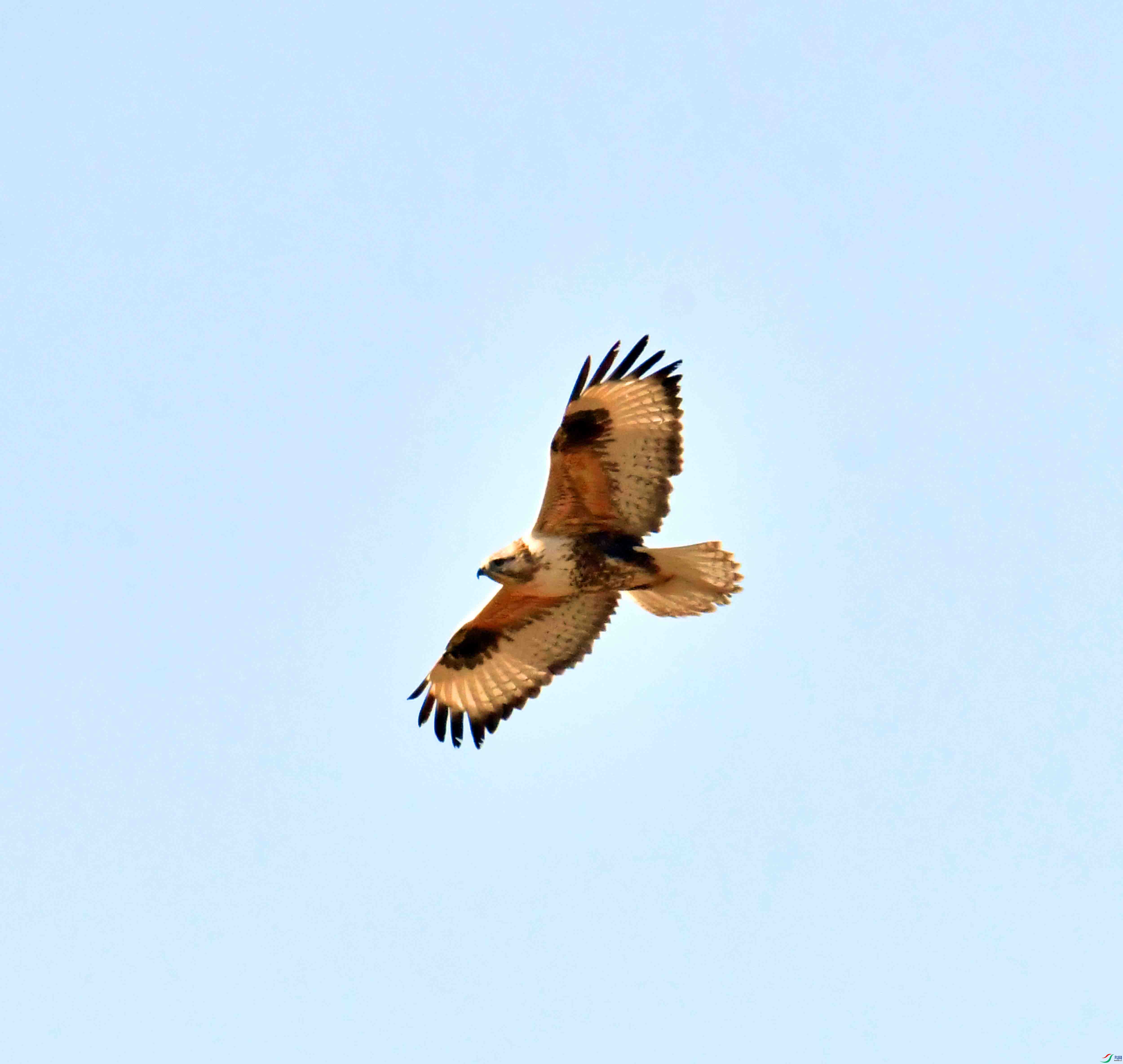 DSC_9491.JPG