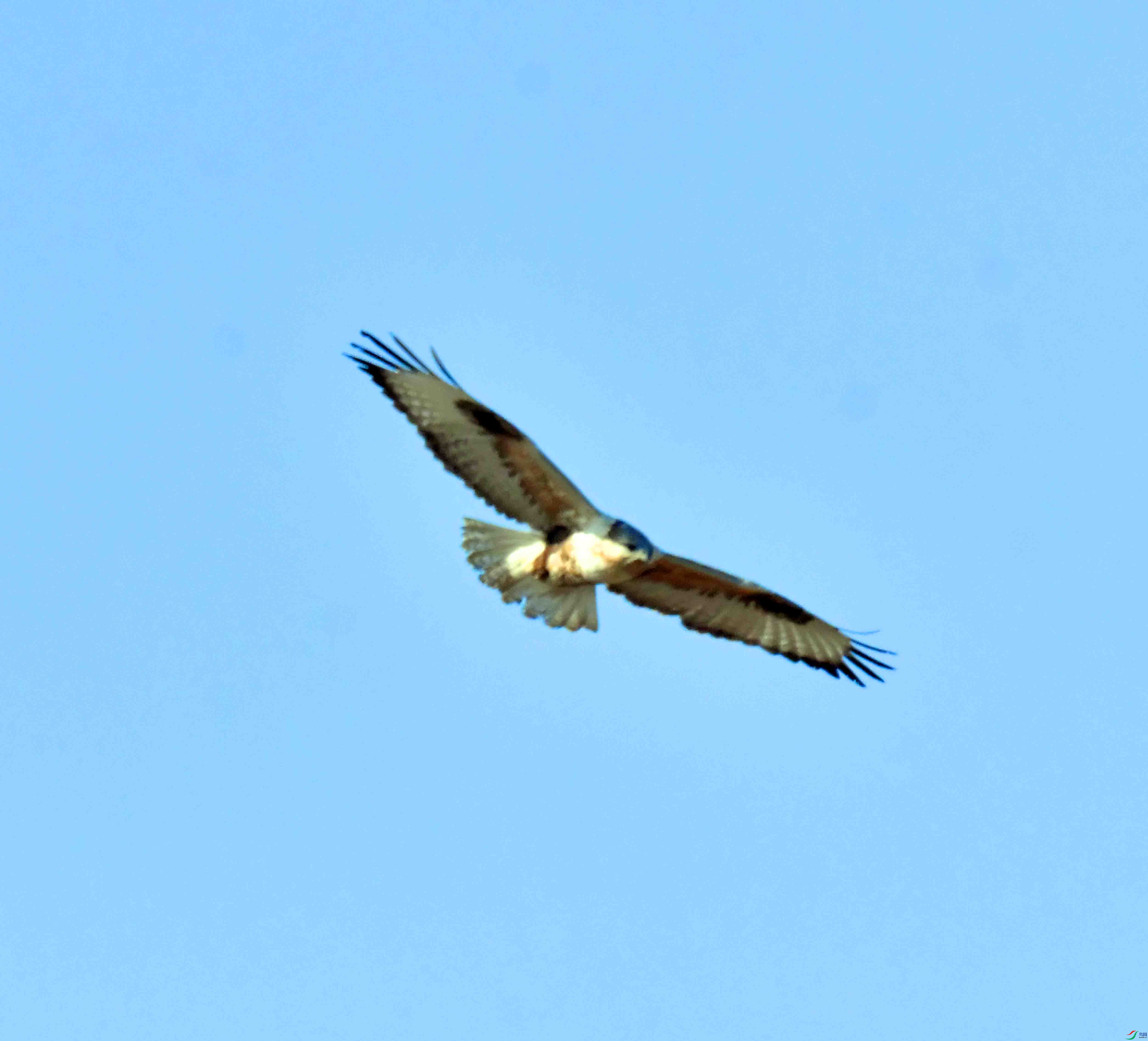 DSC_9545.JPG