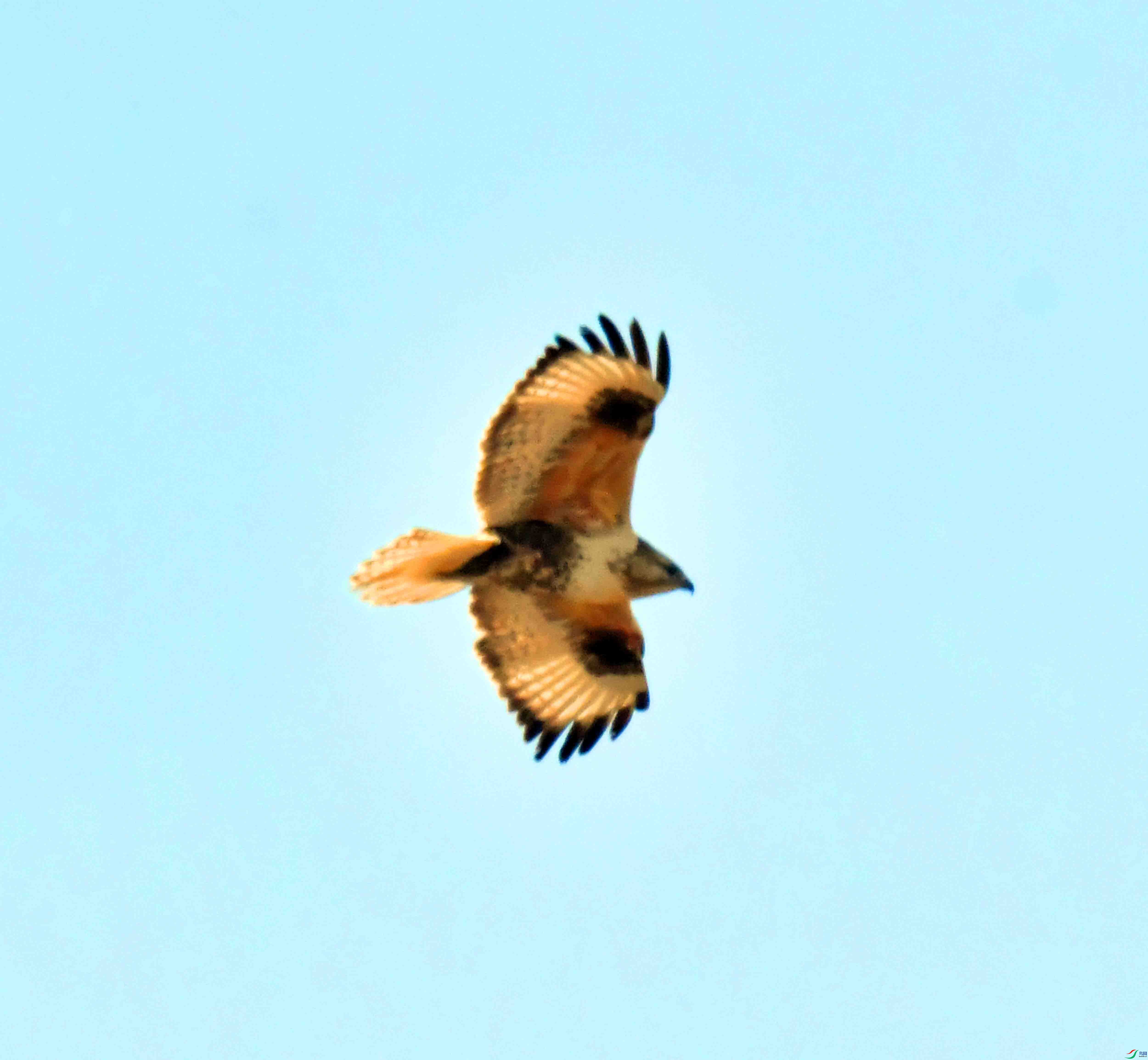 DSC_9551.JPG