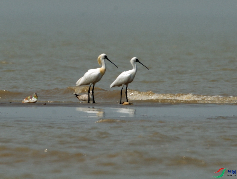 _DSC20211217 (7).jpg