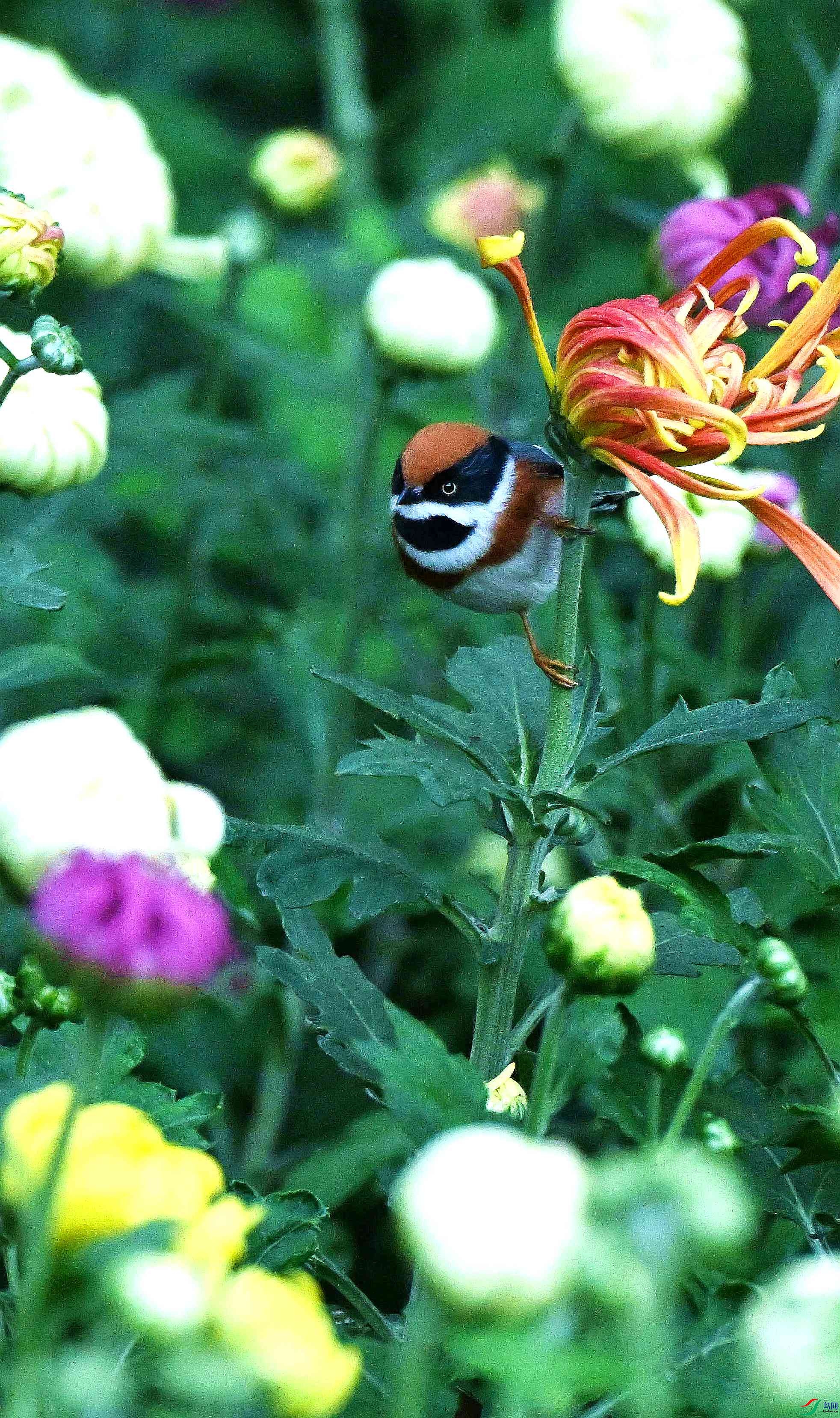 DSC_3482.jpg