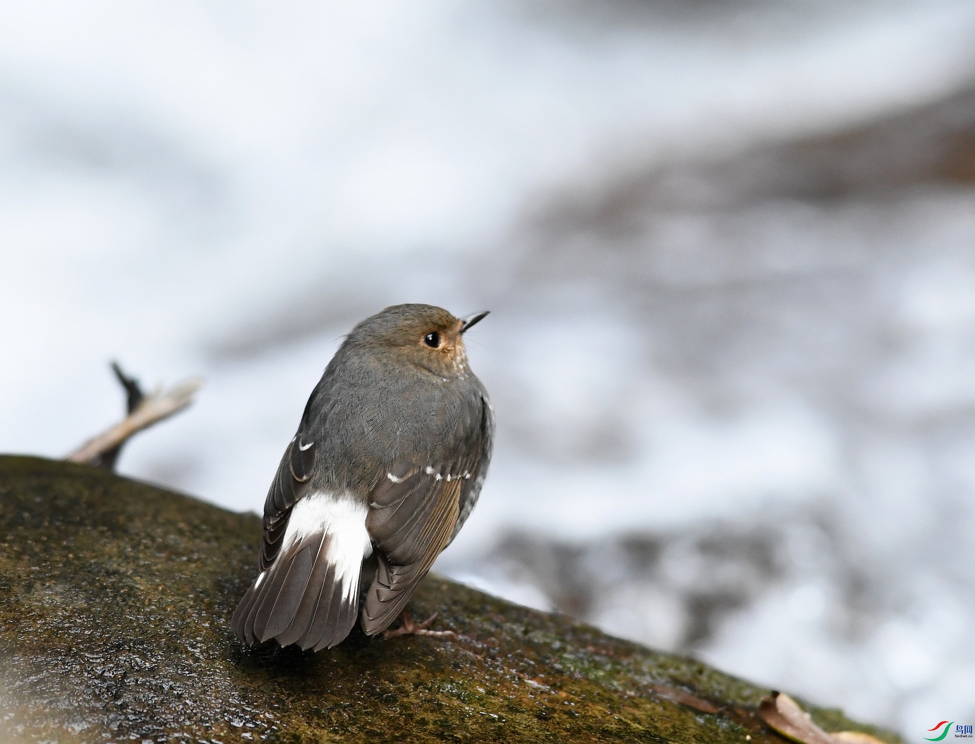 DSC_2944.jpg