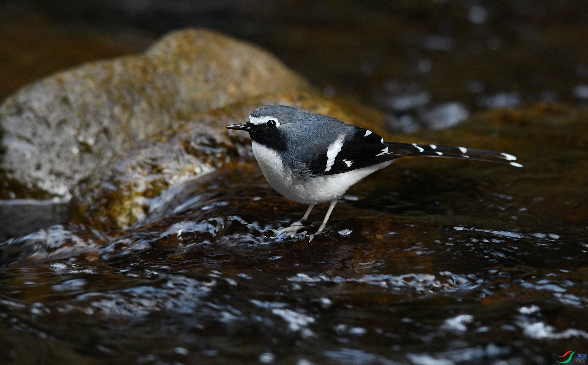 DSC_2912.jpg