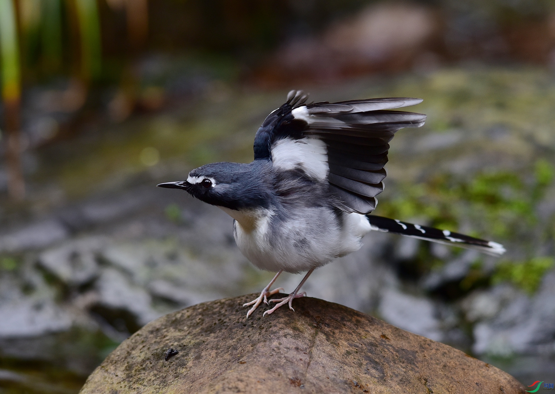 D8I_0809.jpg