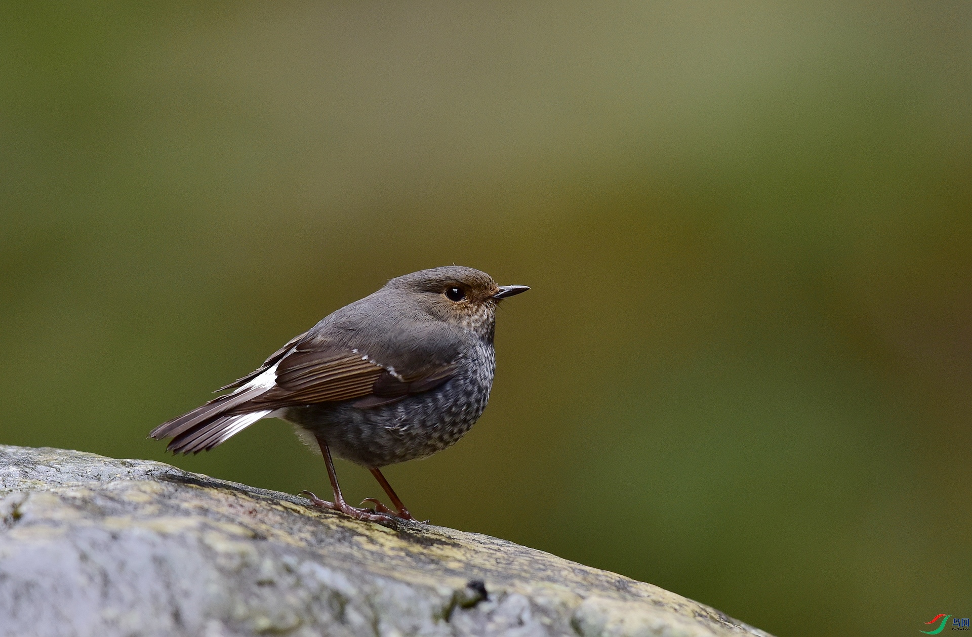 D8I_0732.jpg