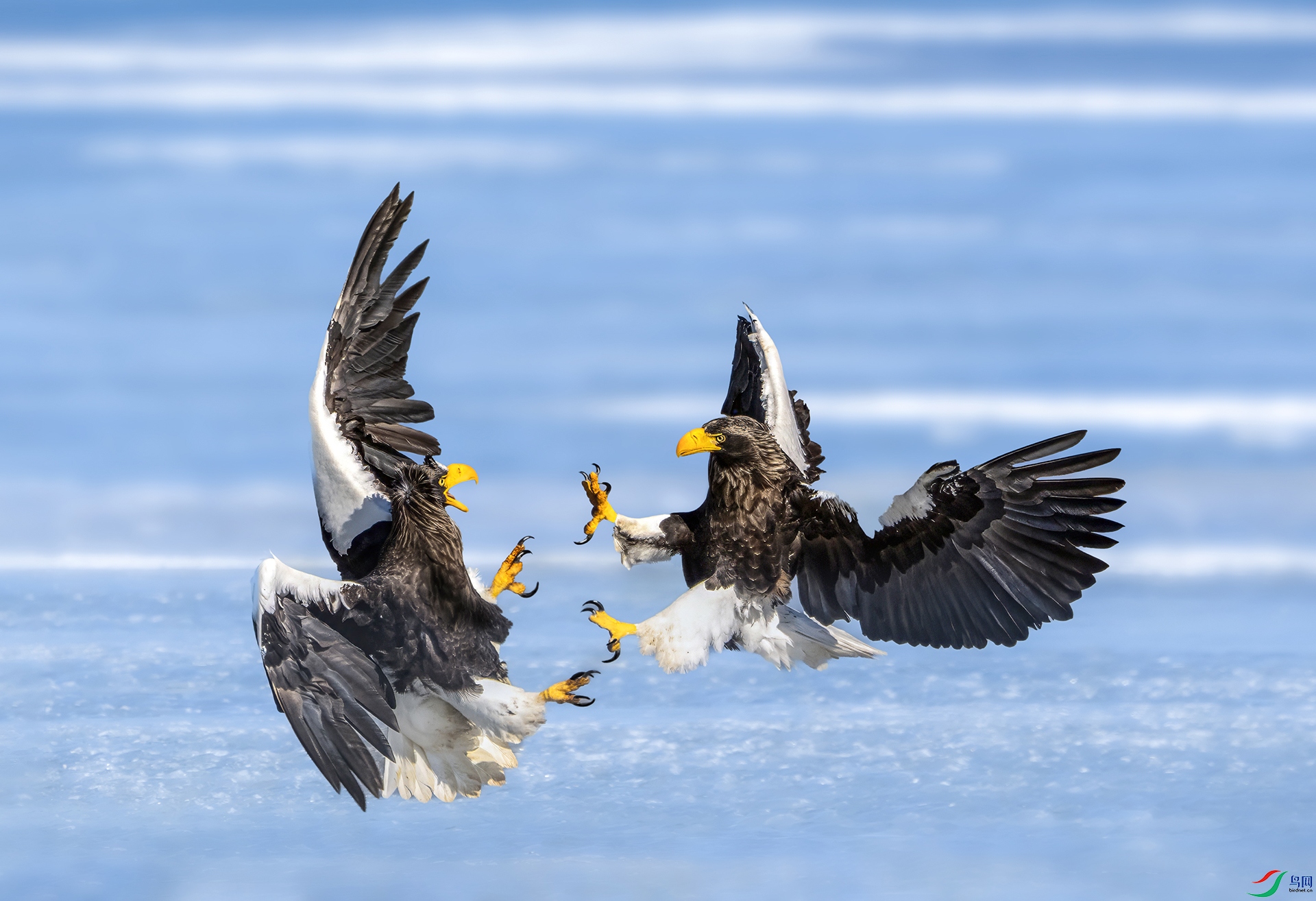 DSC03290 ���� 3.jpg