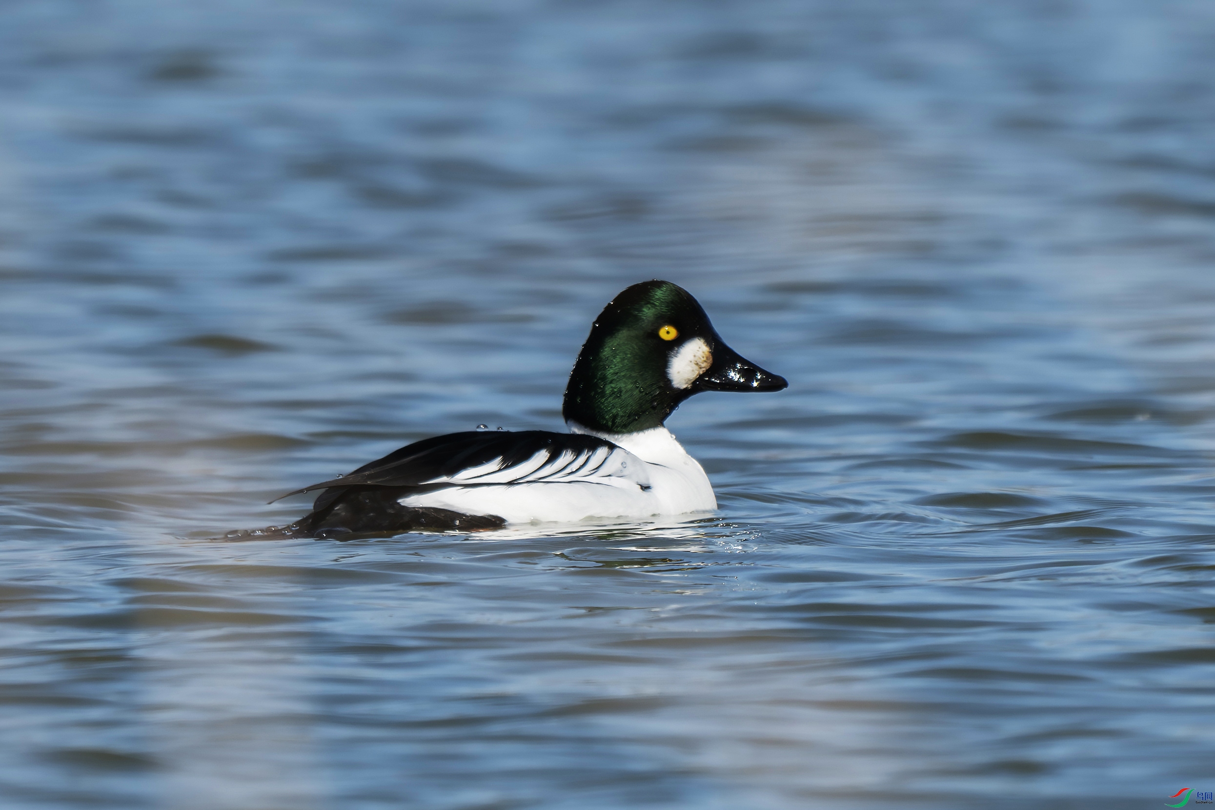 DSC_8892 ����.jpg