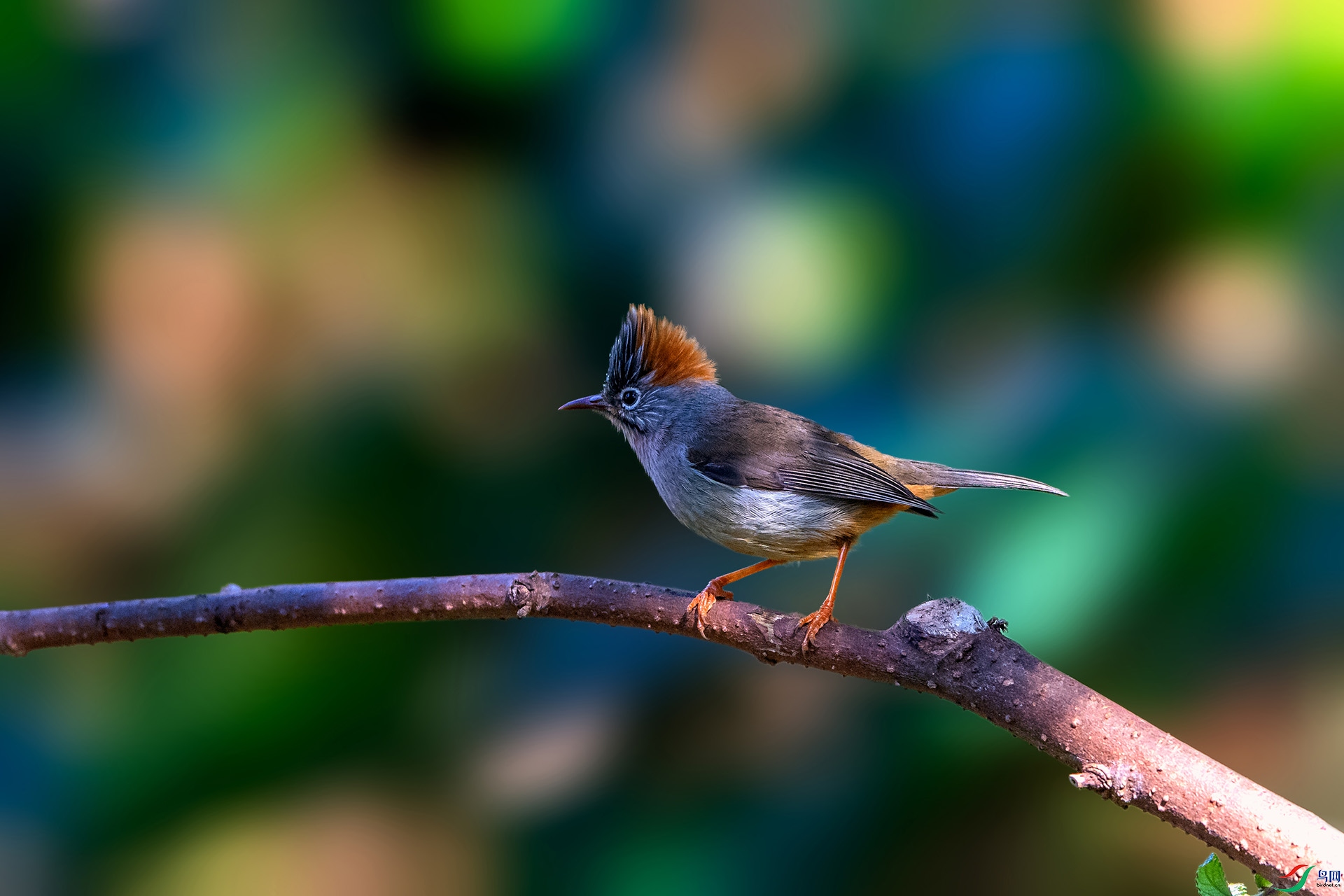_AUU4158���η���(24.2.17).jpg