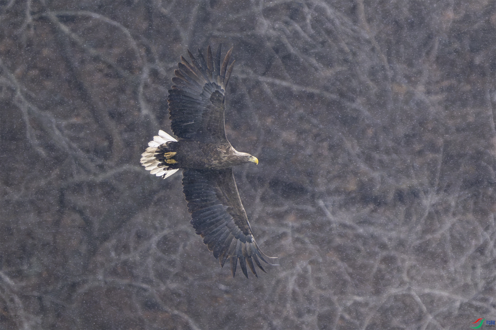 _DSC3282 ����.jpg