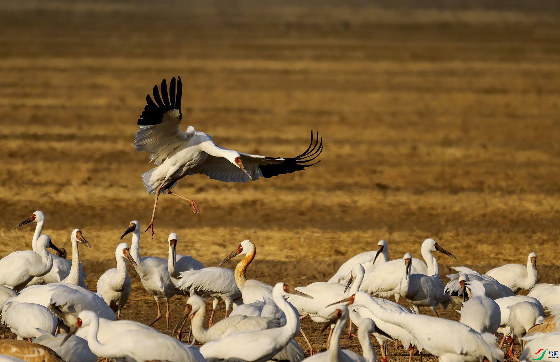 �����ˣ�