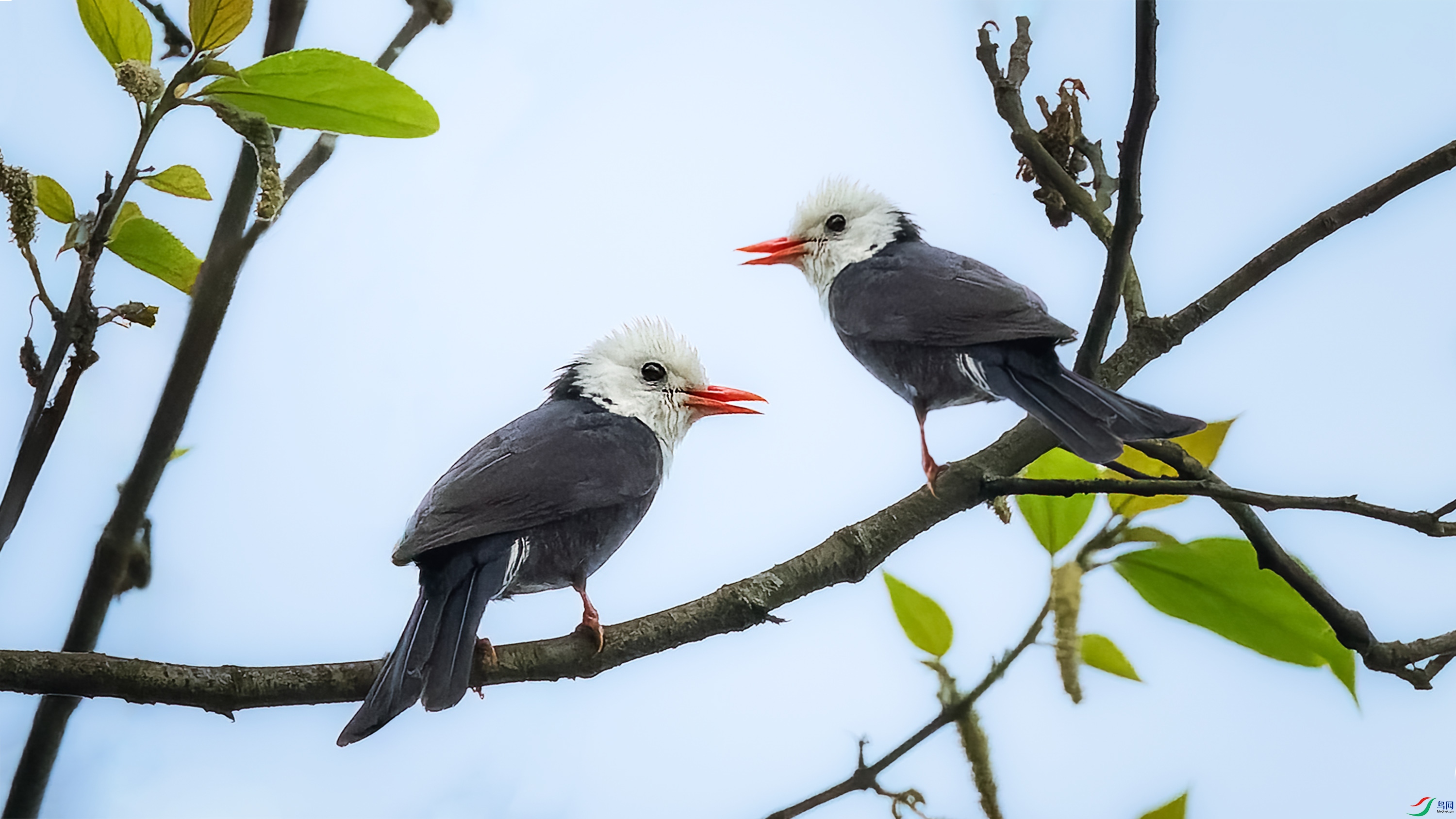 P5161318-ORF_DxO_DeepPRIME ����.jpg