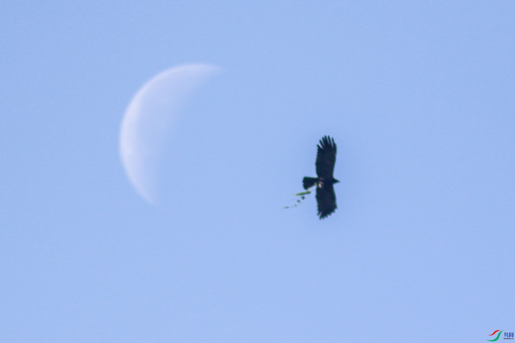 033A3700.JPG
